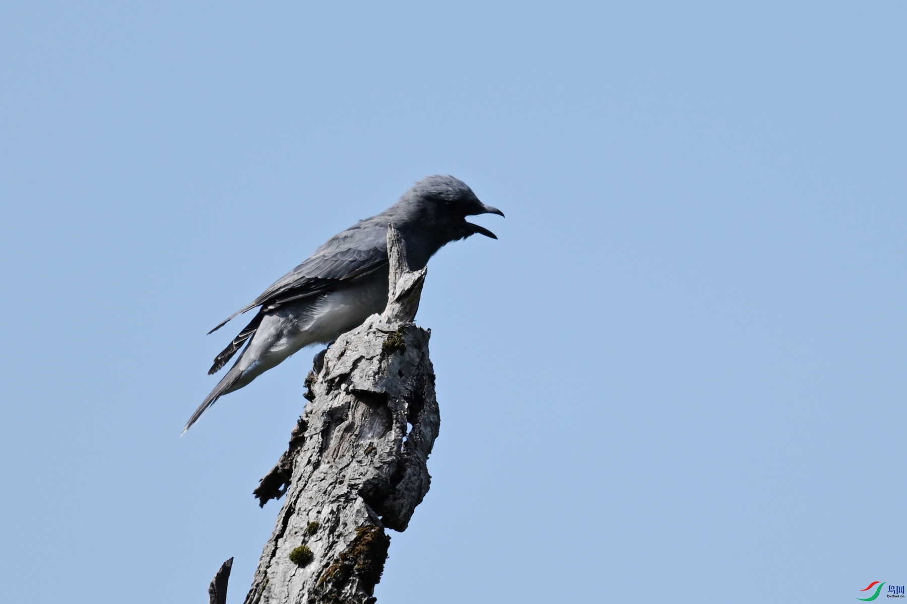 DSC_4557.JPG