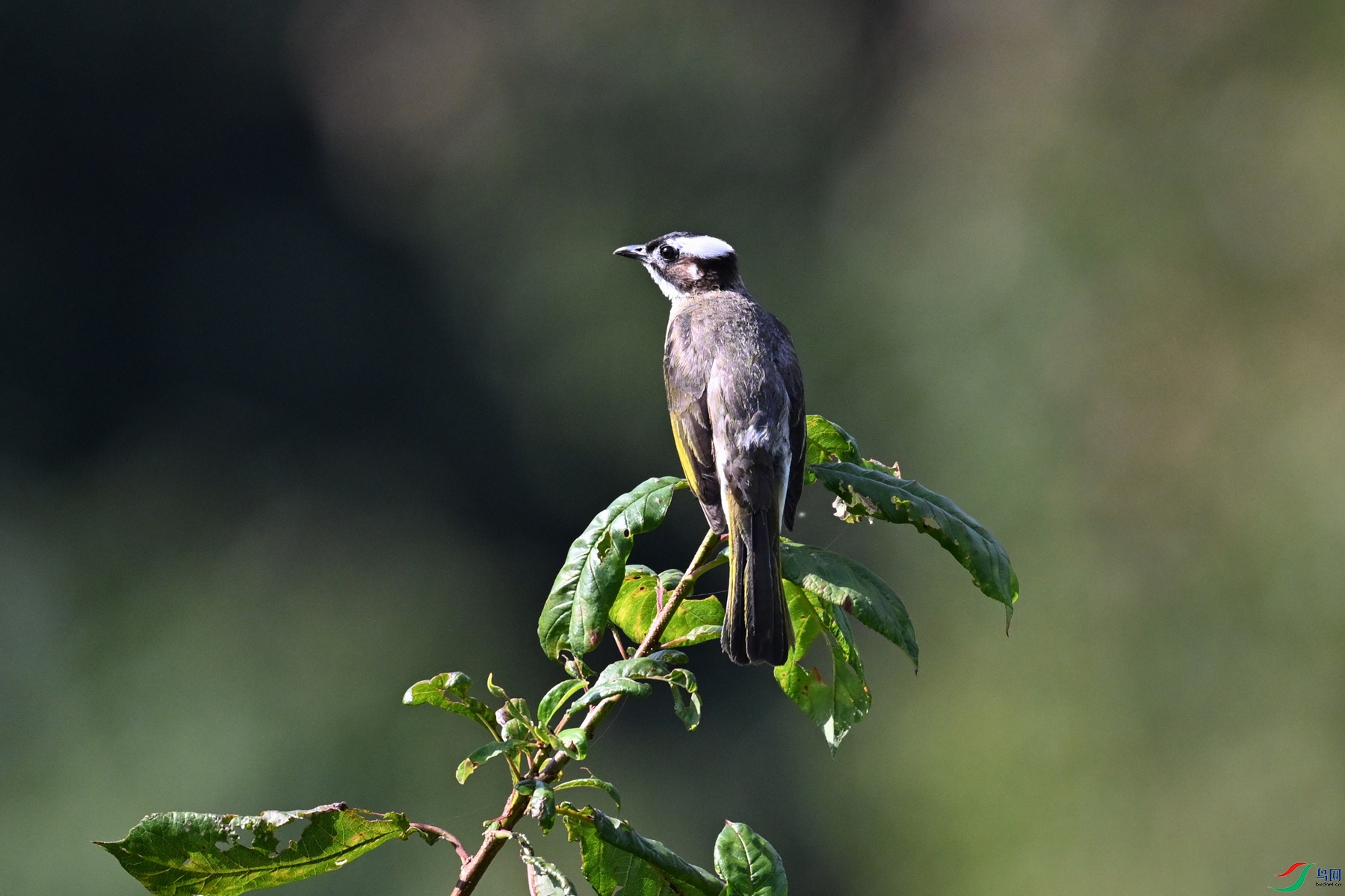 DSC_4510.JPG