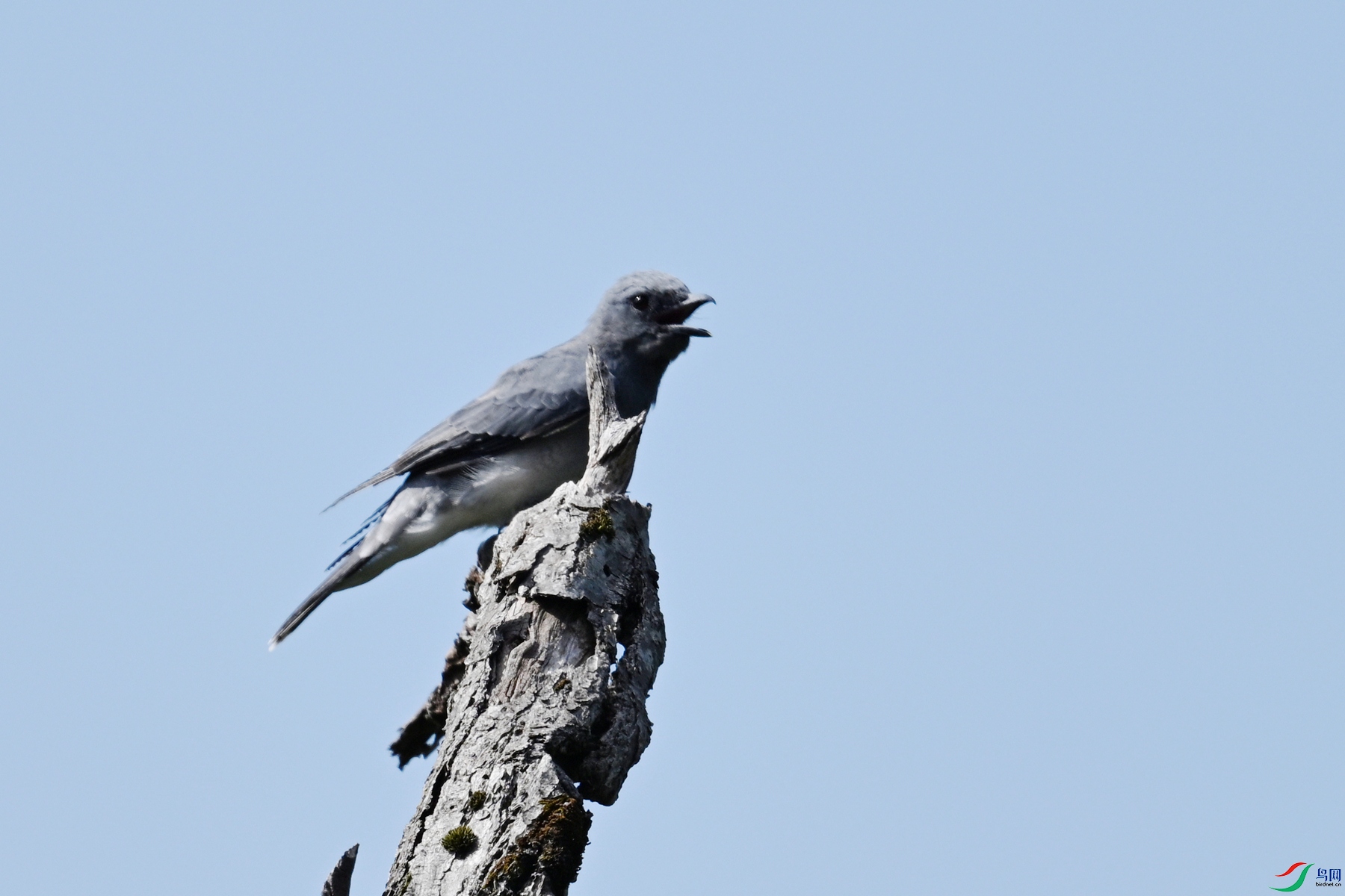DSC_4560.JPG