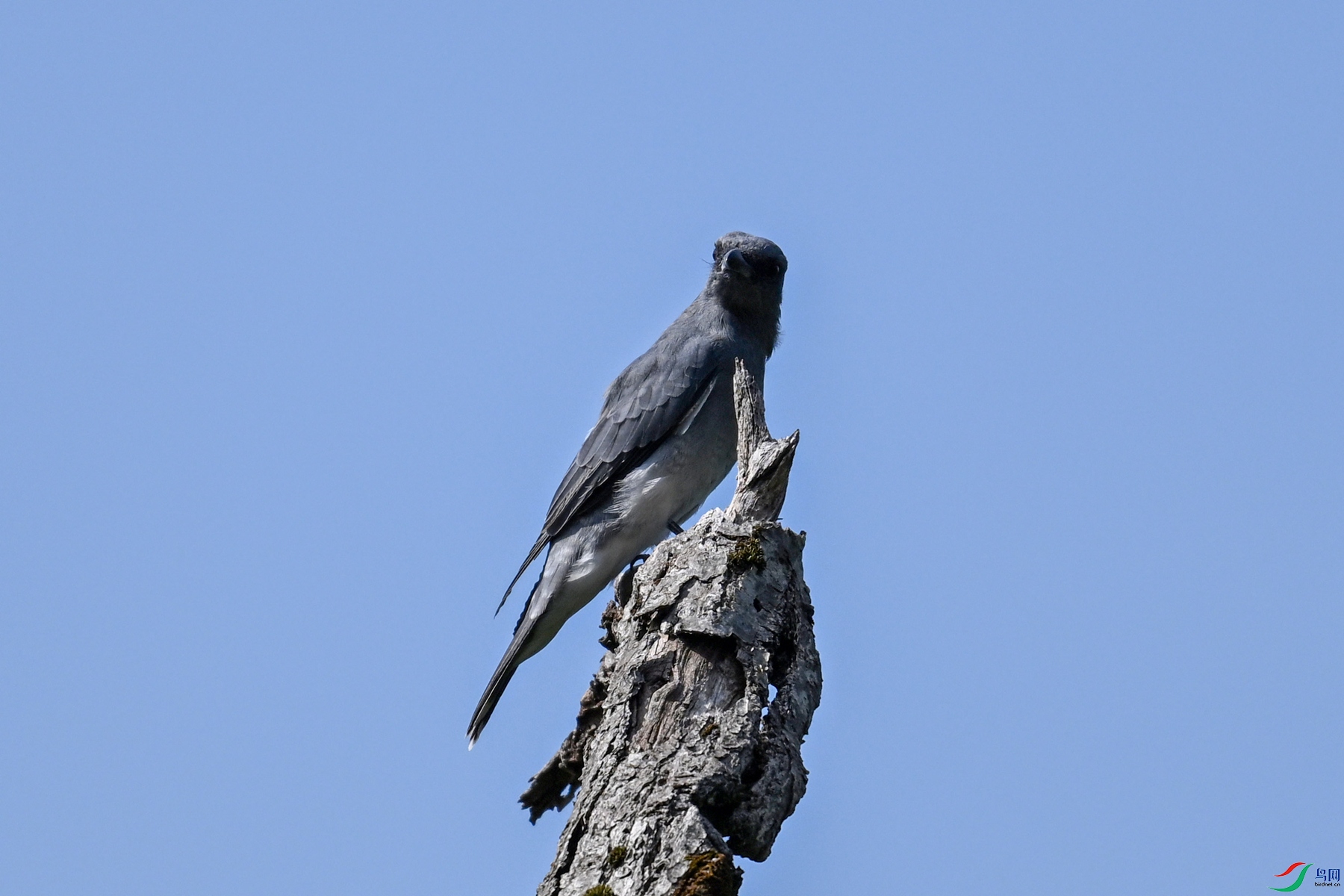 DSC_4545.JPG