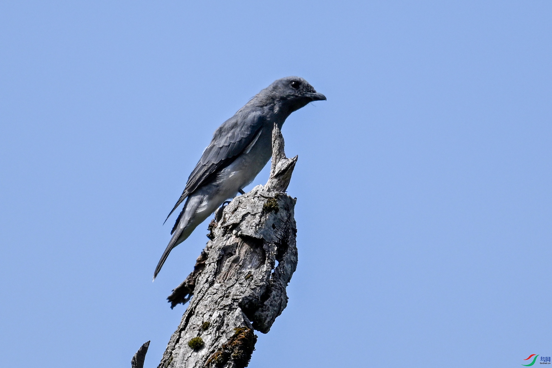 DSC_4549.JPG