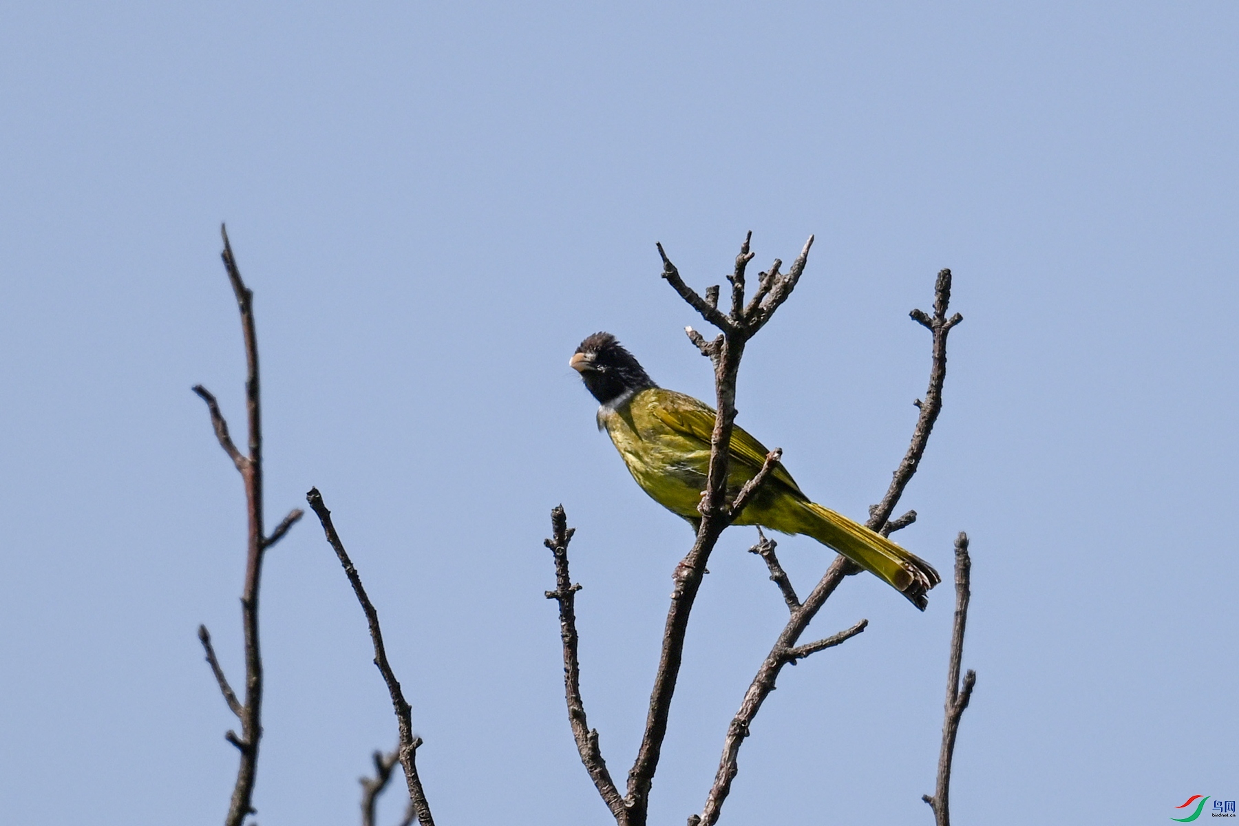 DSC_4536.JPG