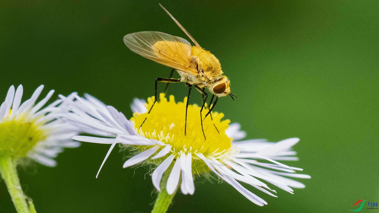 DSC_9276---.jpg