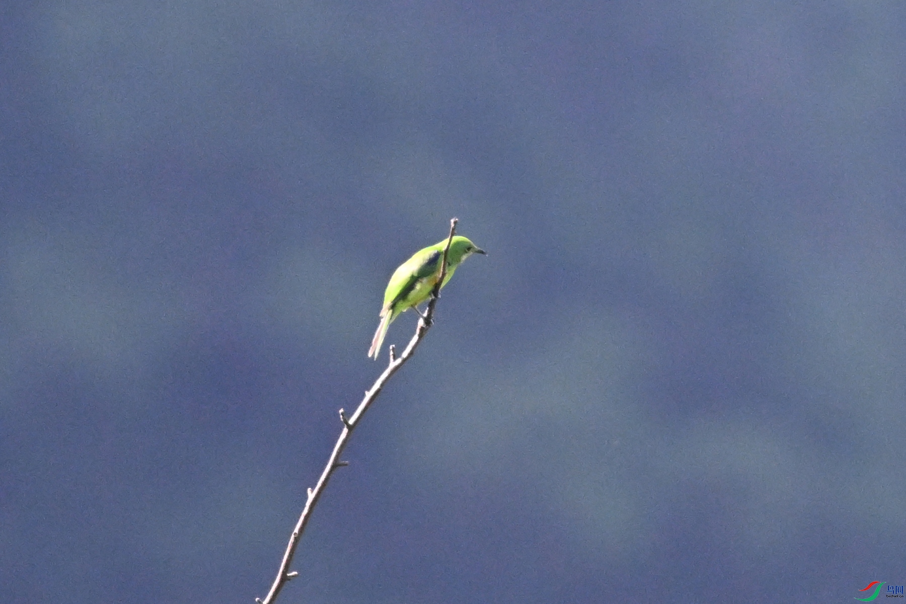 DSC_4521.JPG