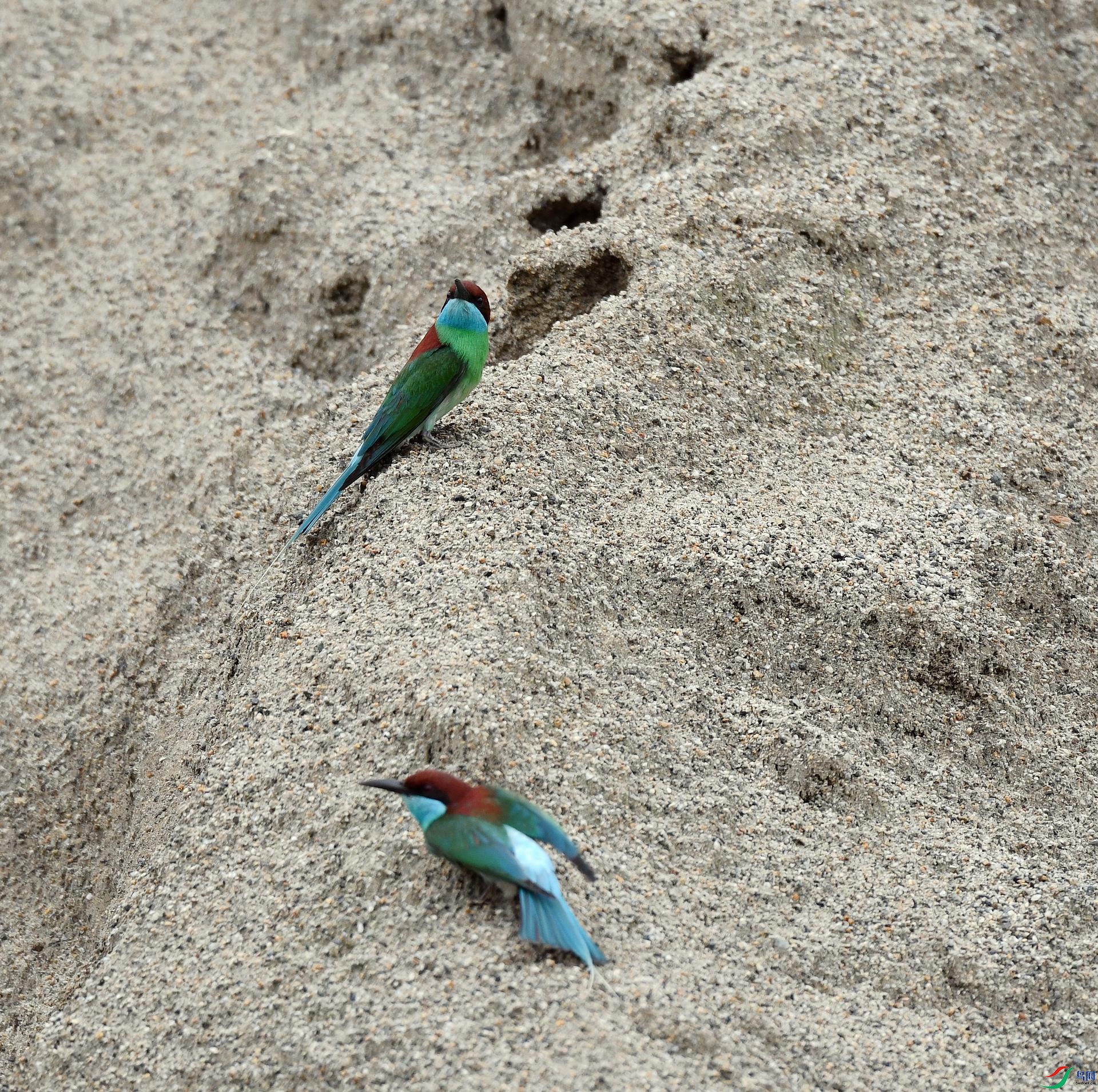 DSC_1739.jpg