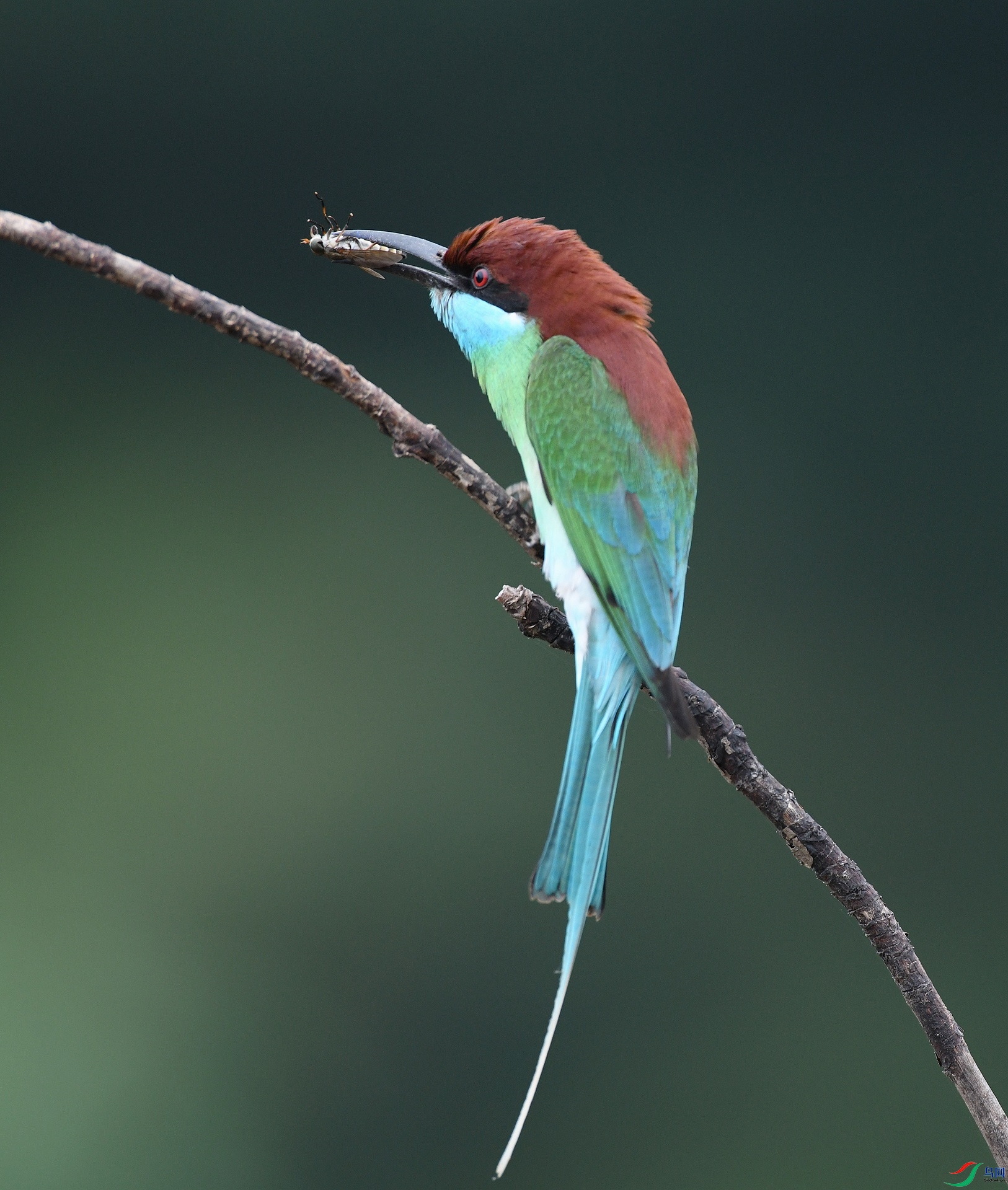 DSC_3985.jpg