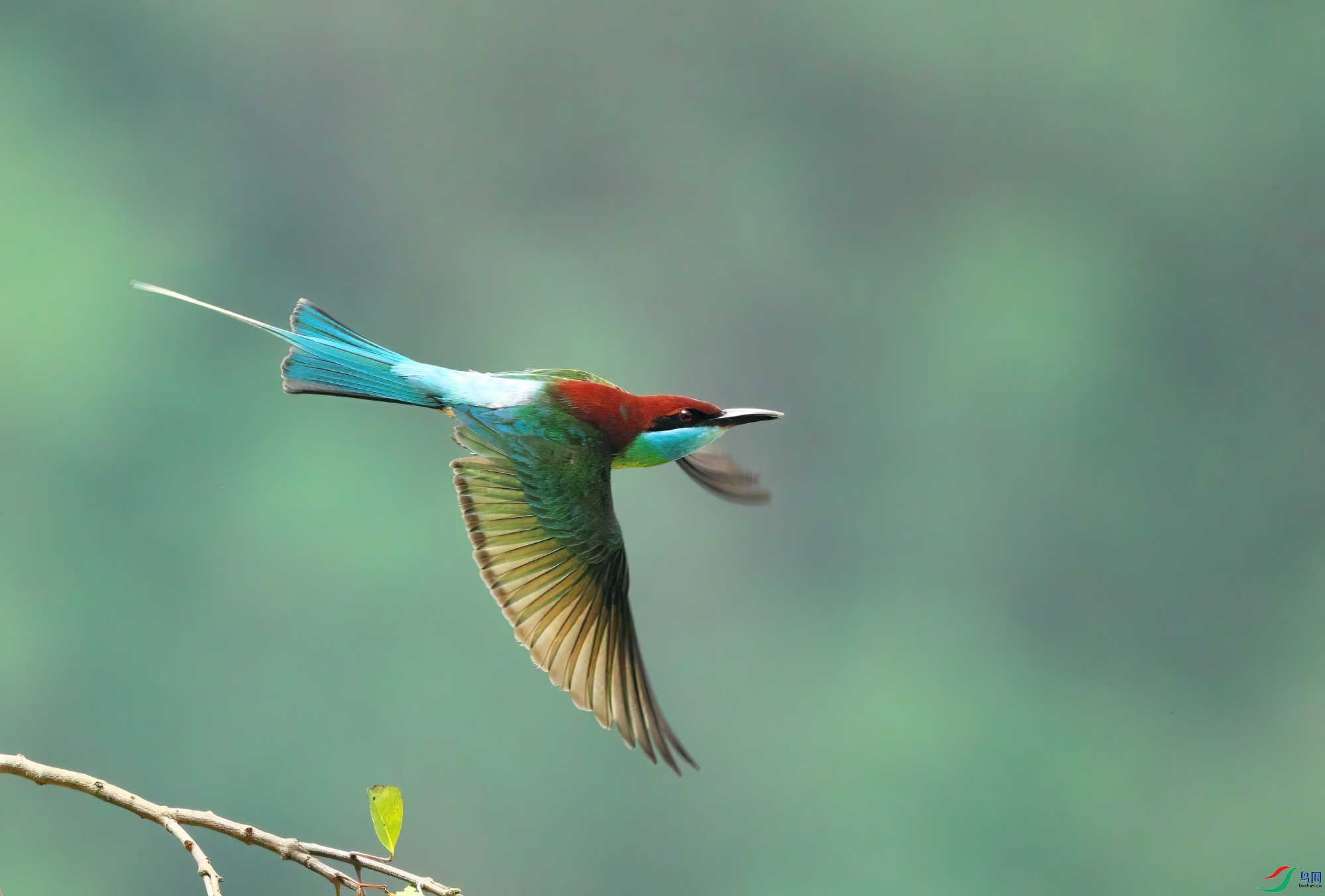 DSCF8553-Dsp.JPG