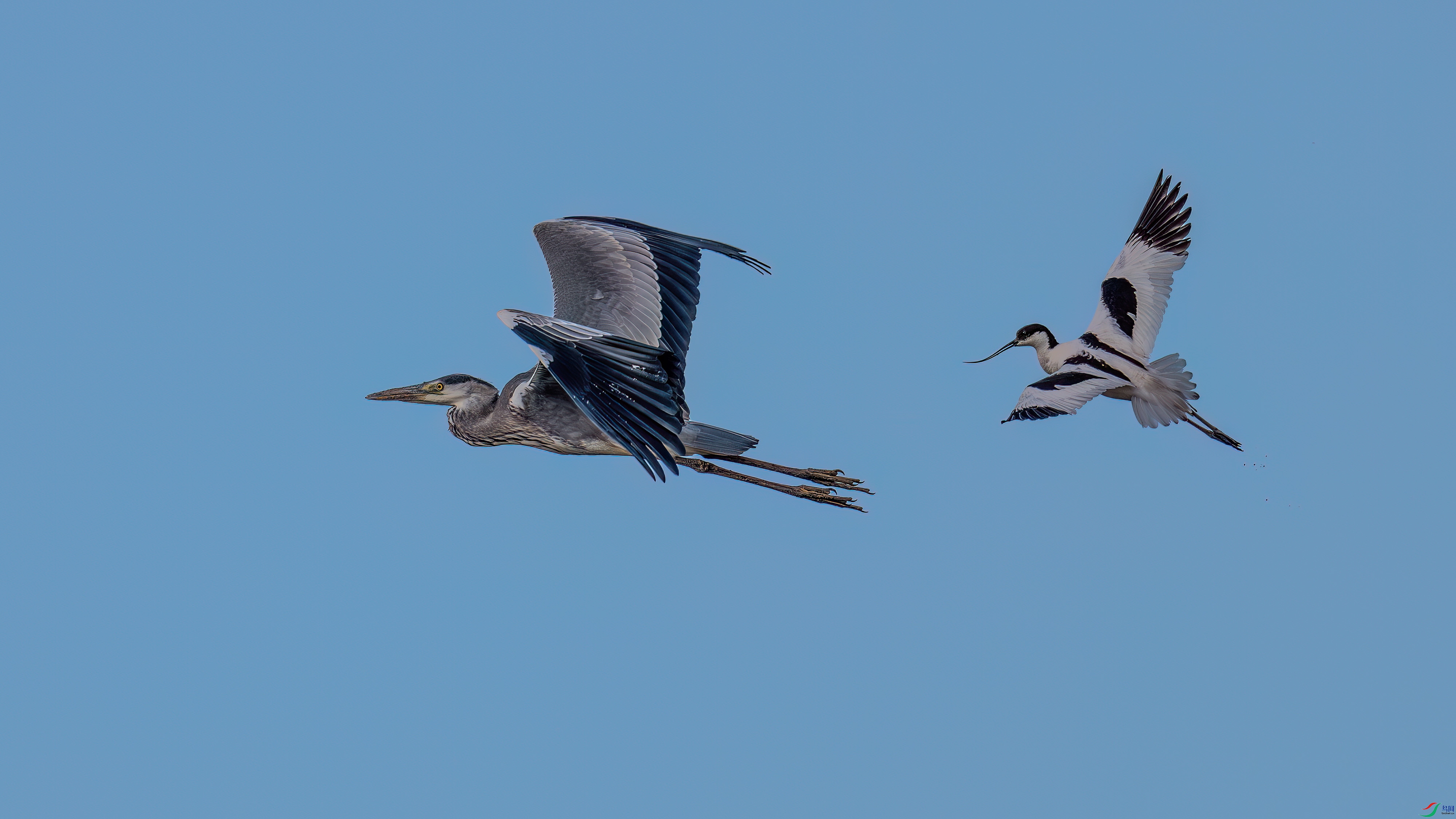 DSC_0183.jpg