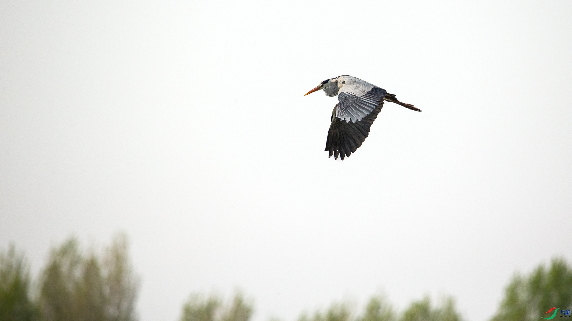 A48Z6563.jpg