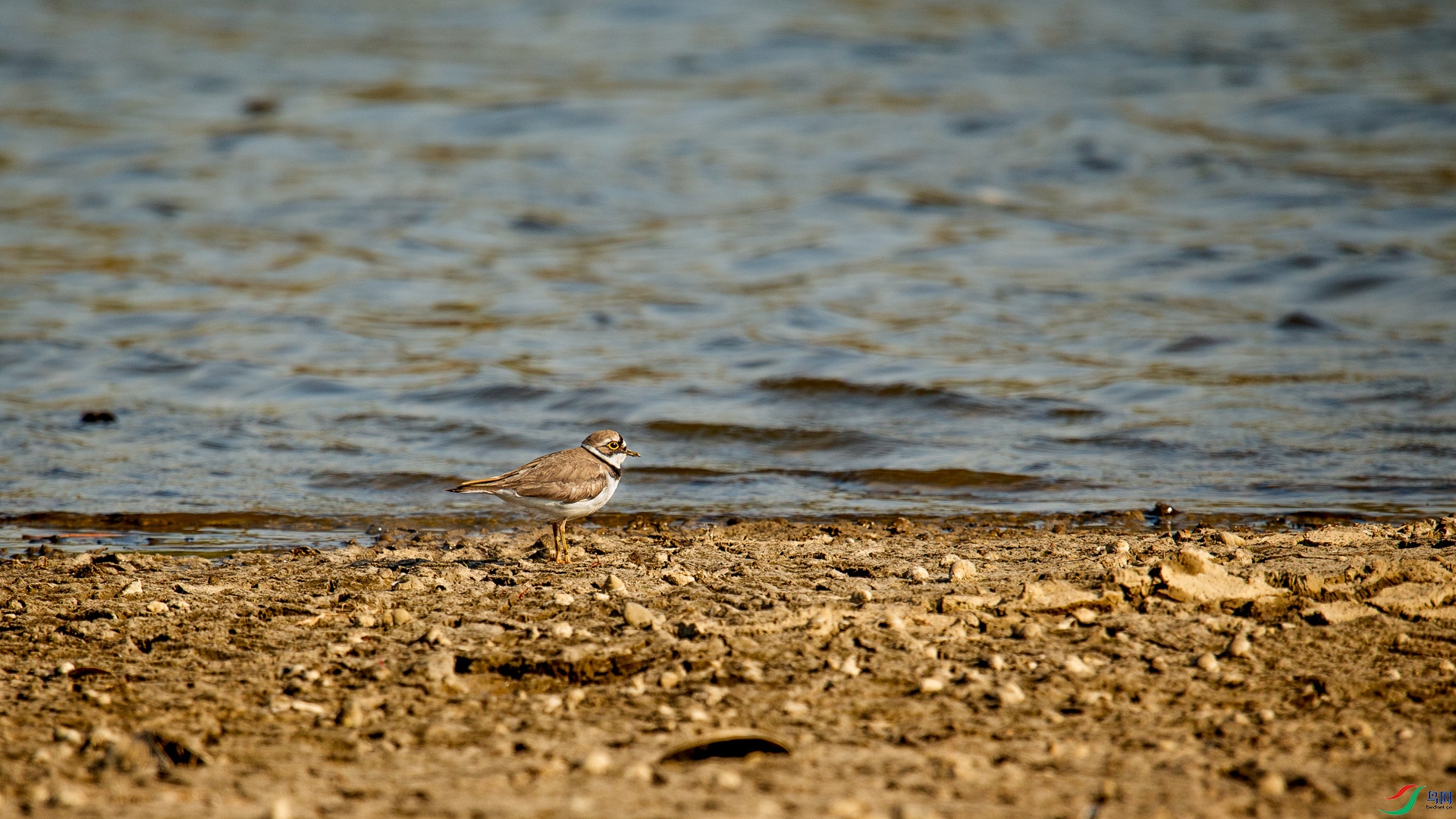 A48Z6565.jpg