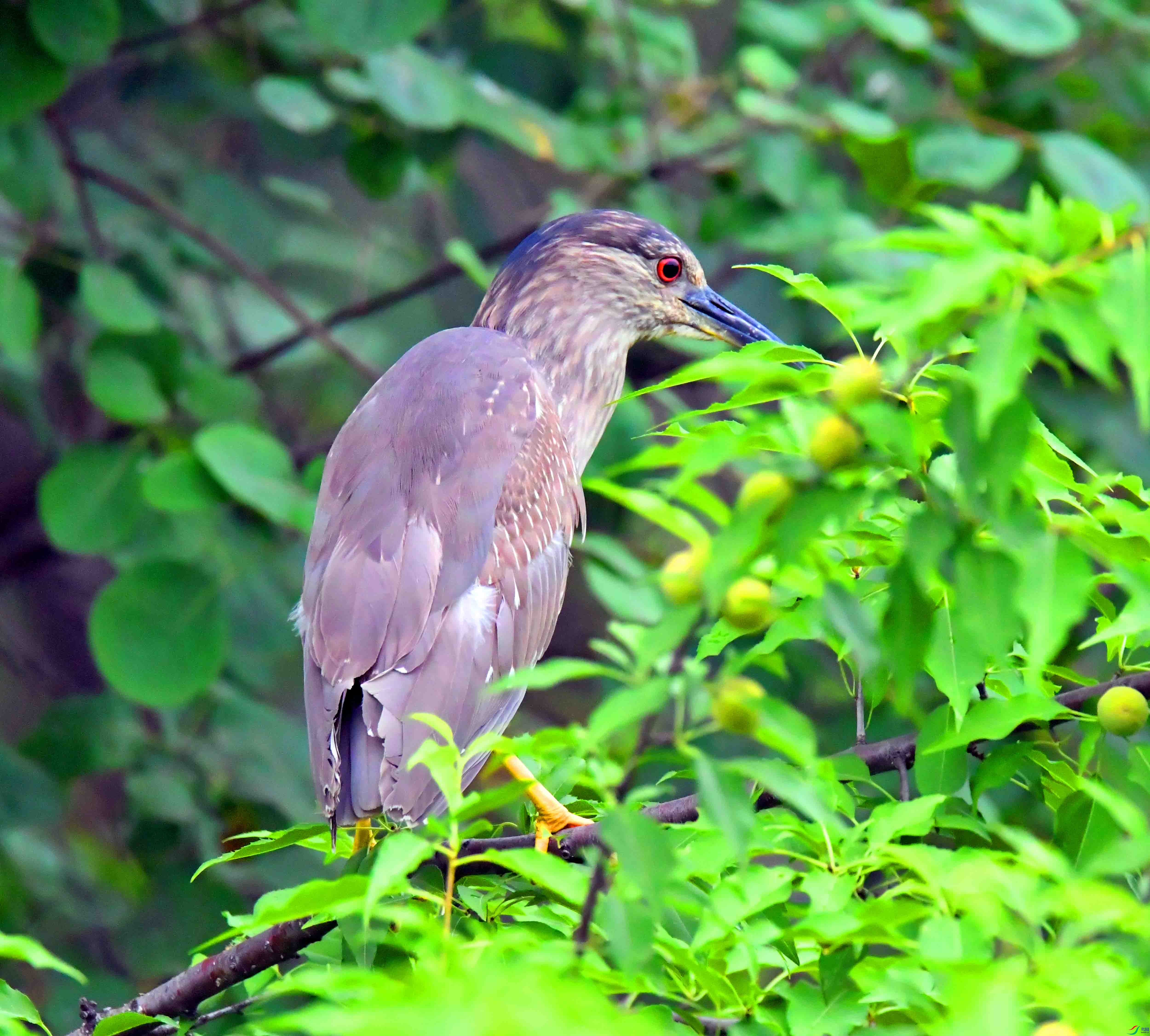 DSC_0271.JPG