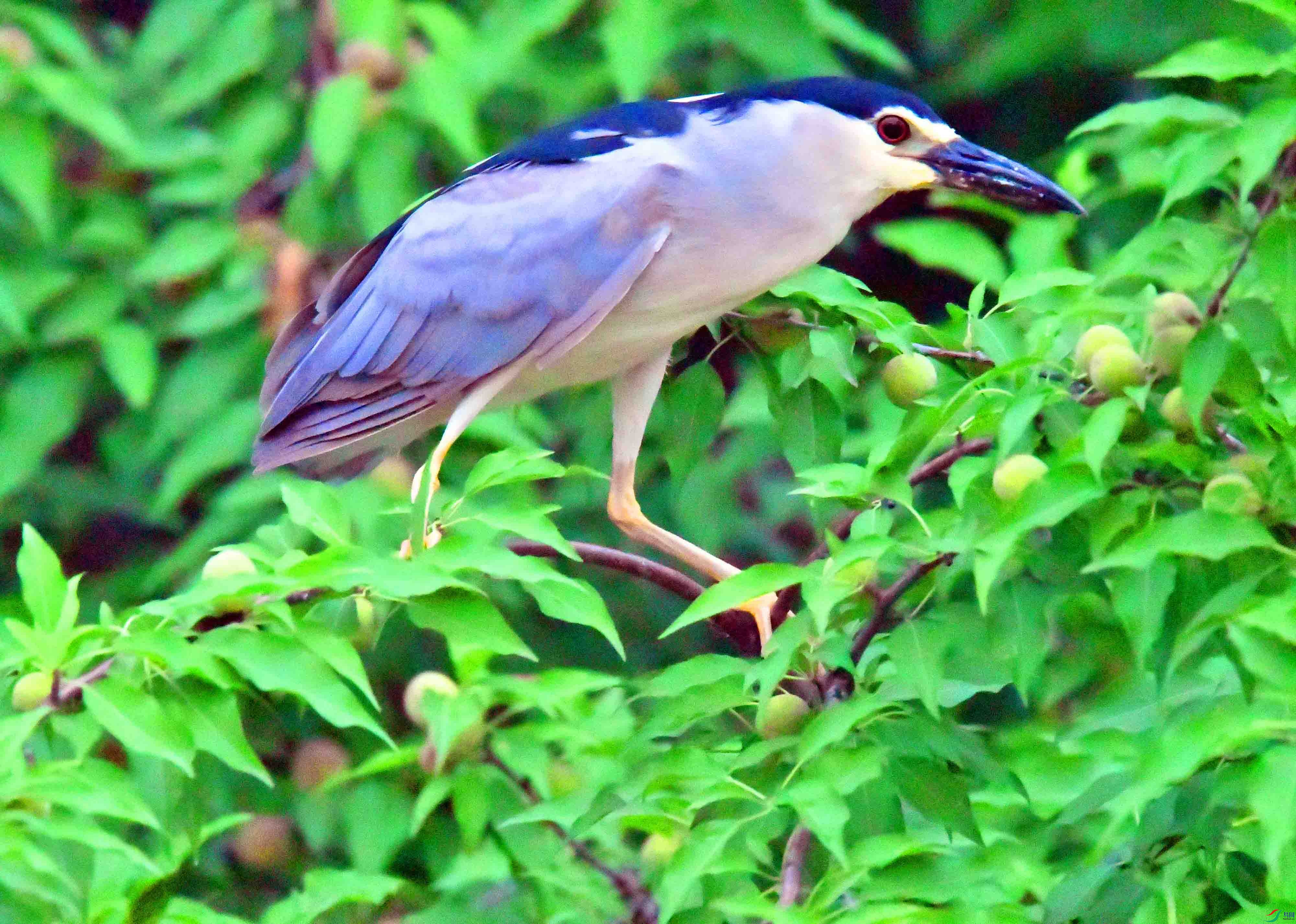 DSC_0635.JPG