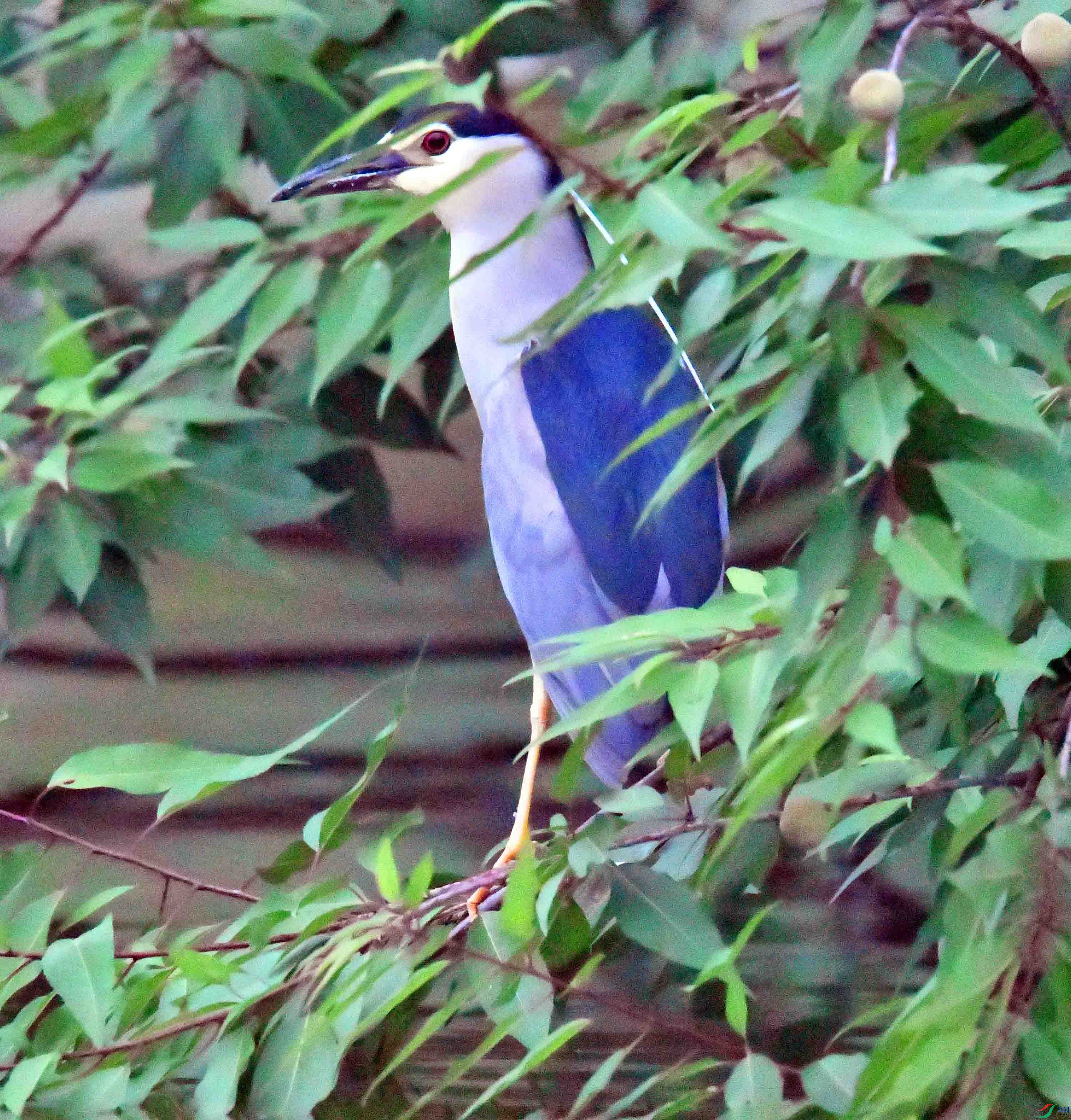 DSC_0656.JPG