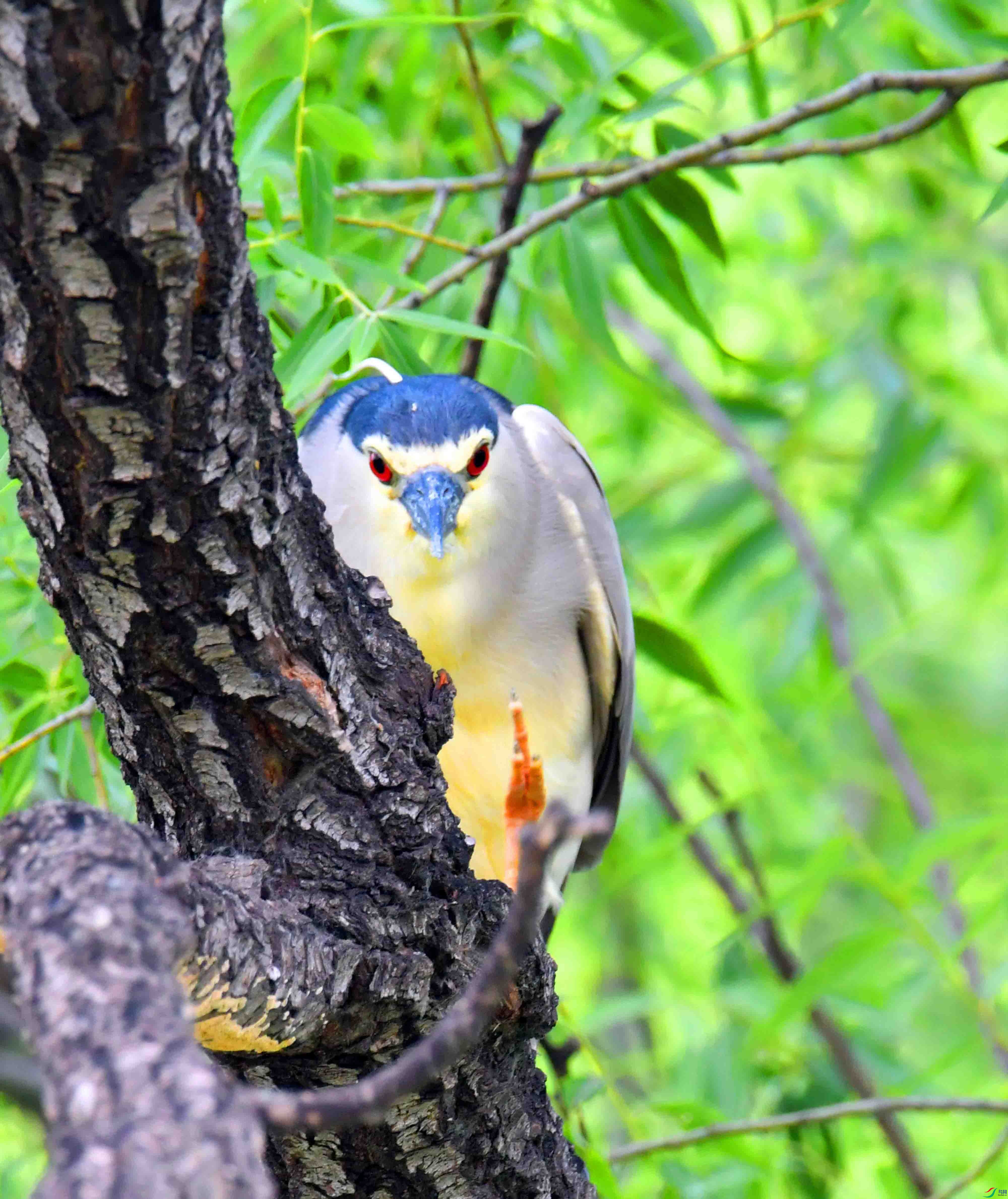 DSC_9145.JPG
