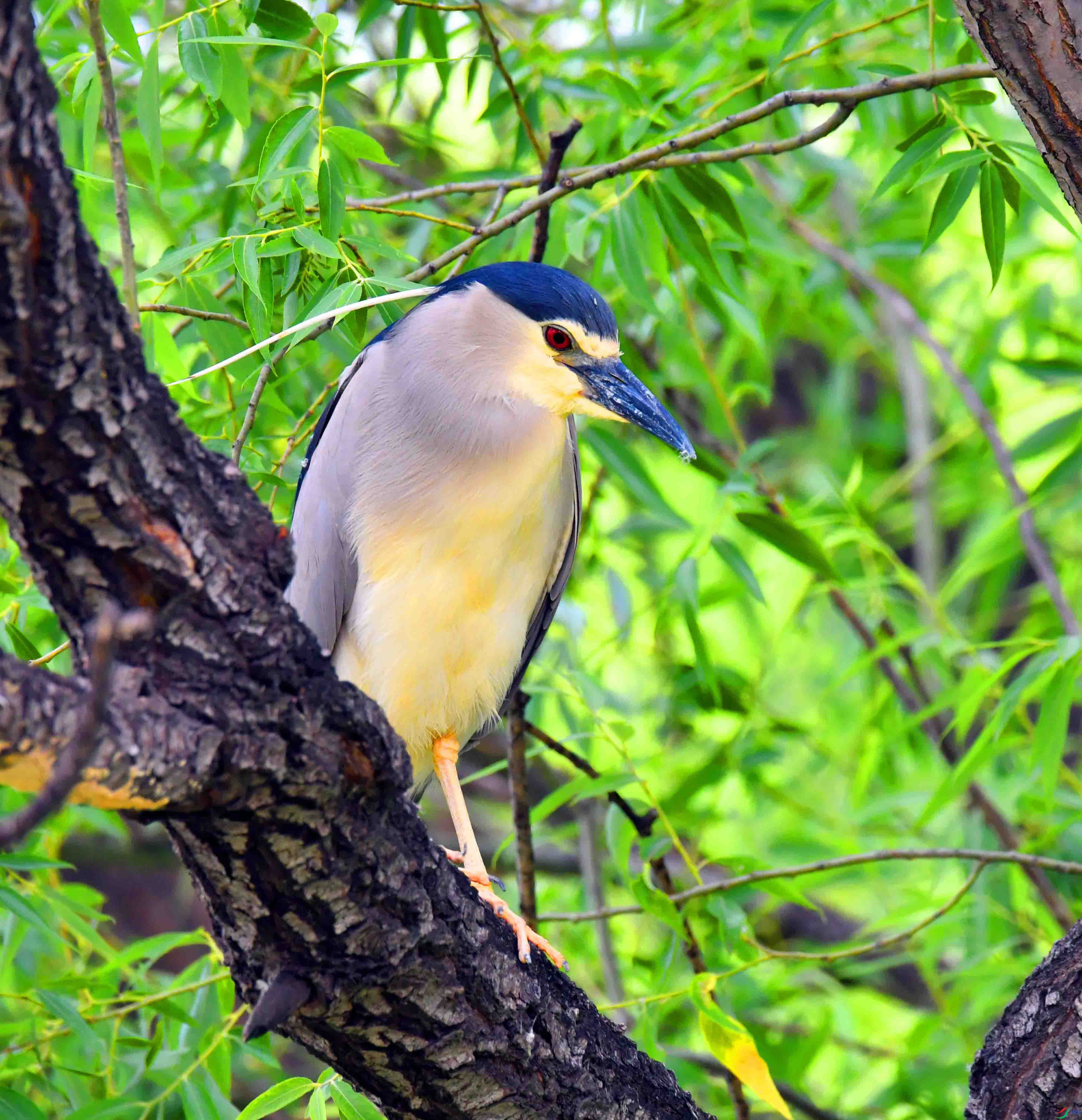 DSC_9150.JPG