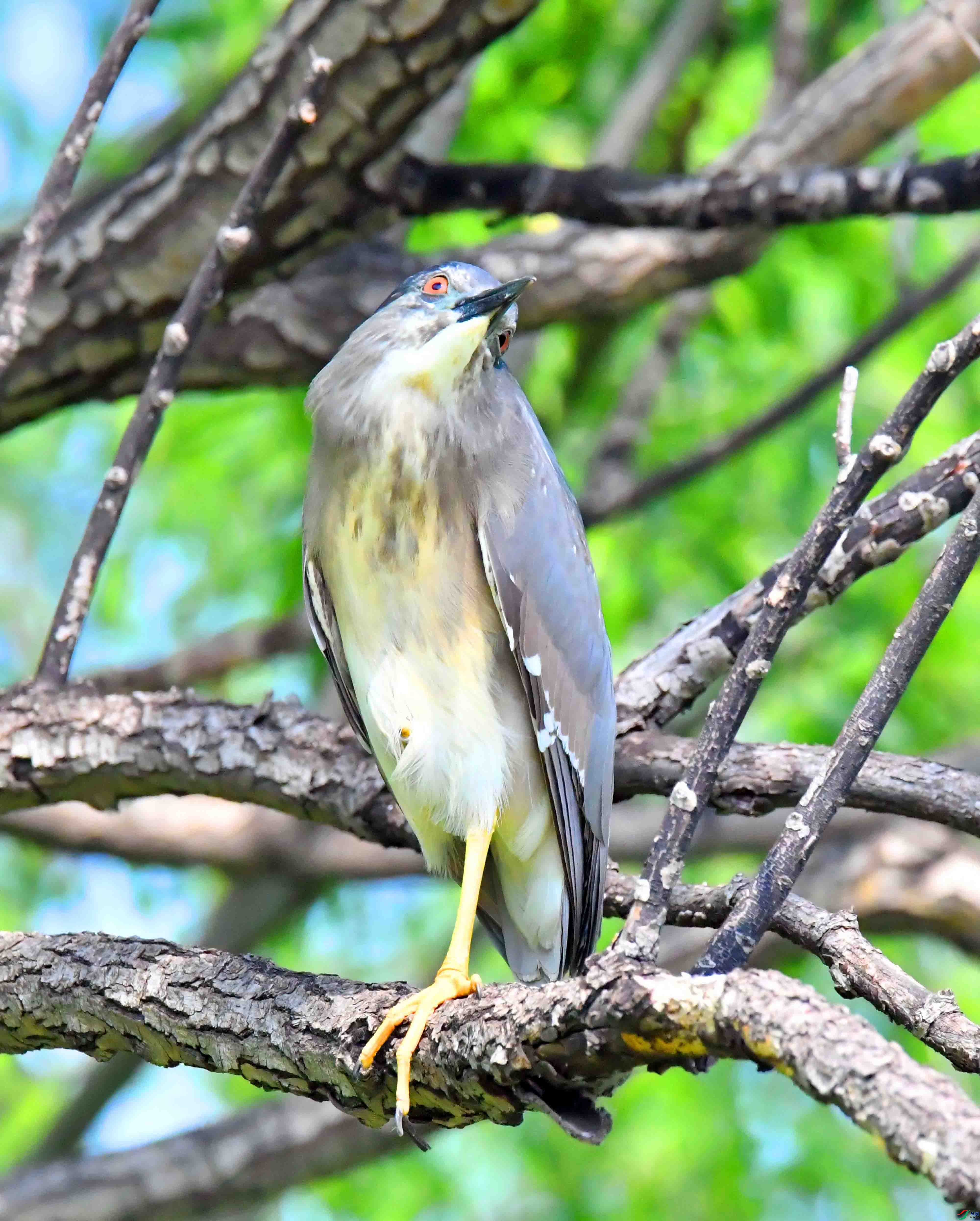 DSC_9647.JPG