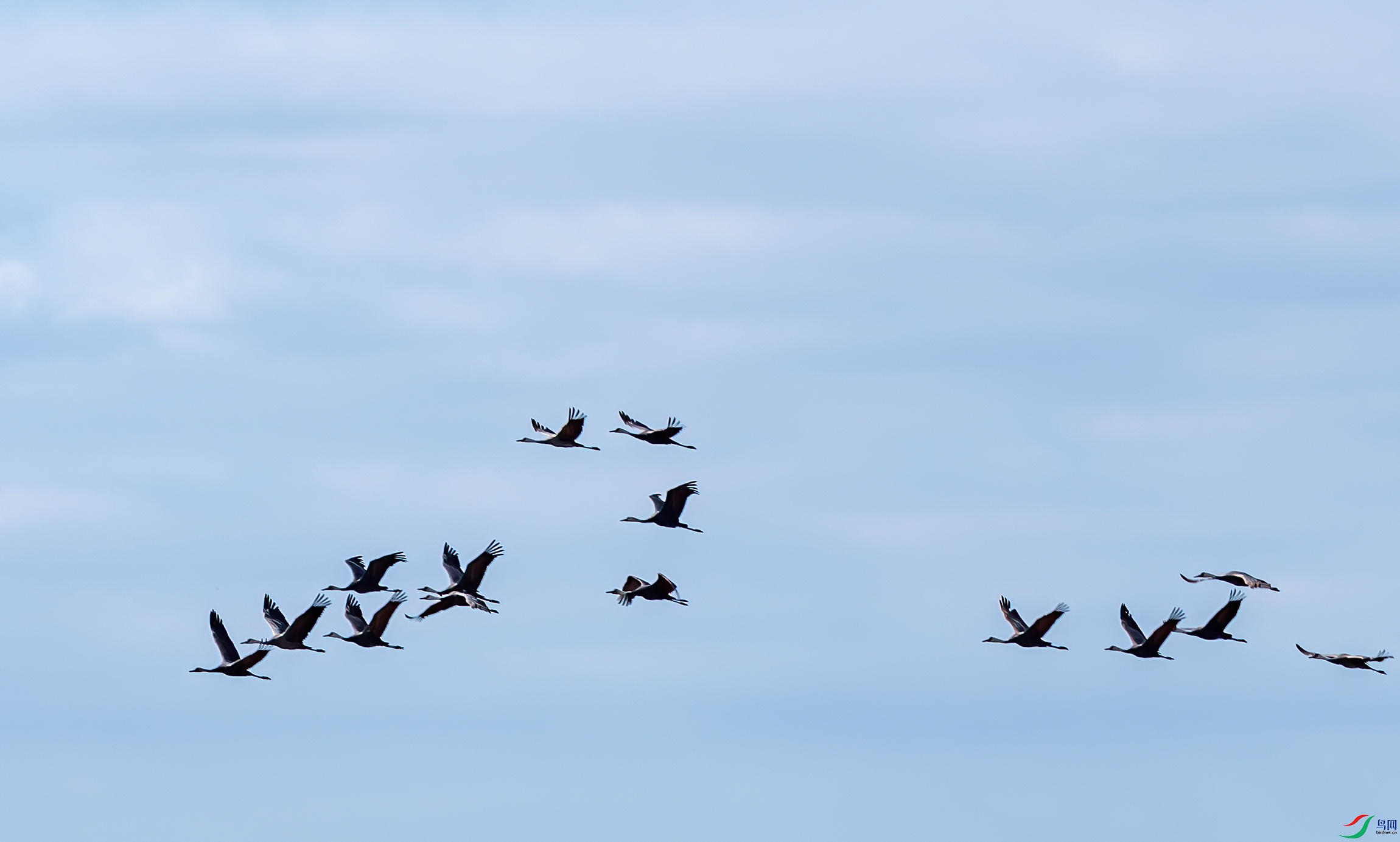 DSC_2535-11.jpg