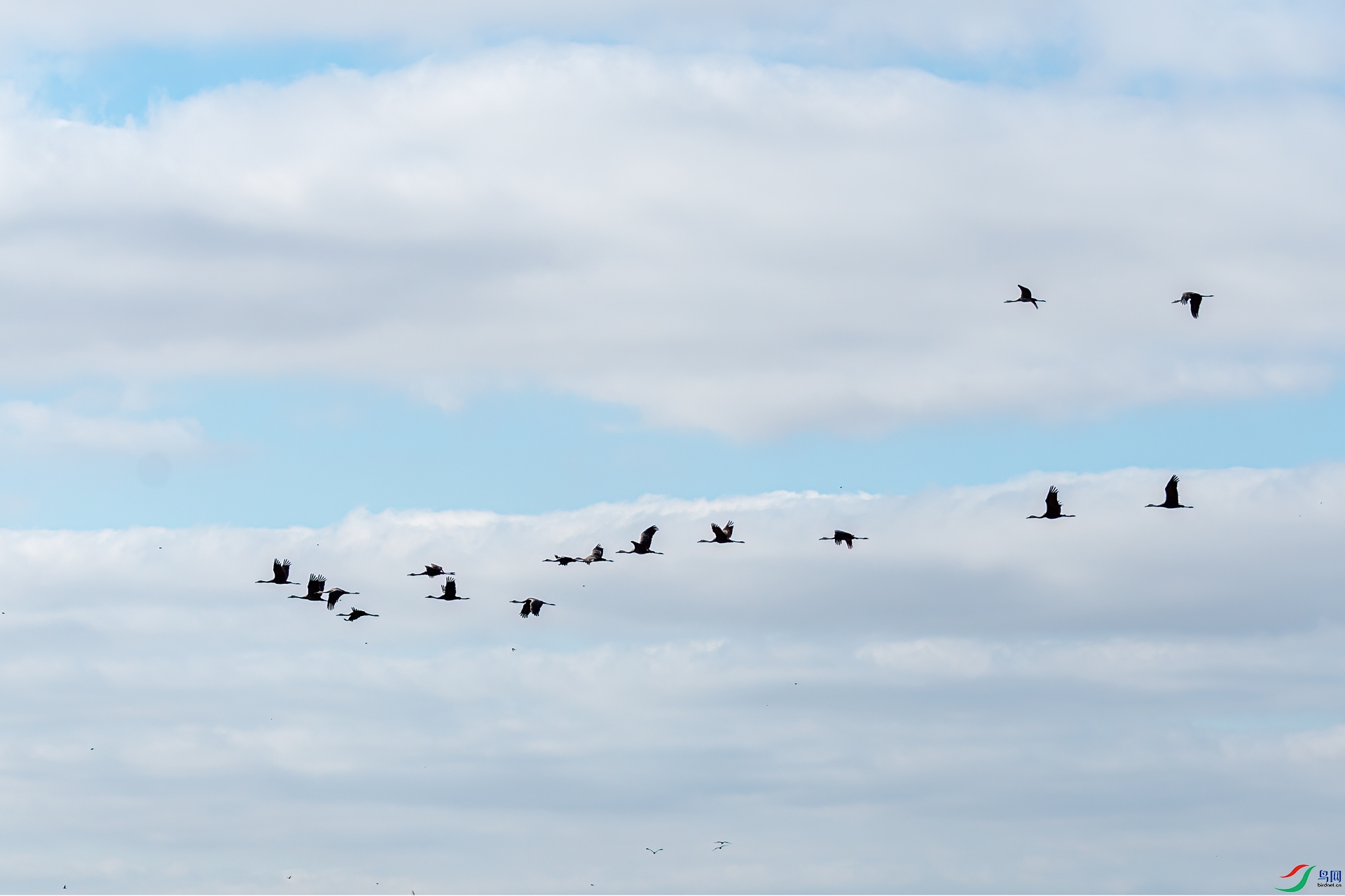 DSC_2566-11.jpg