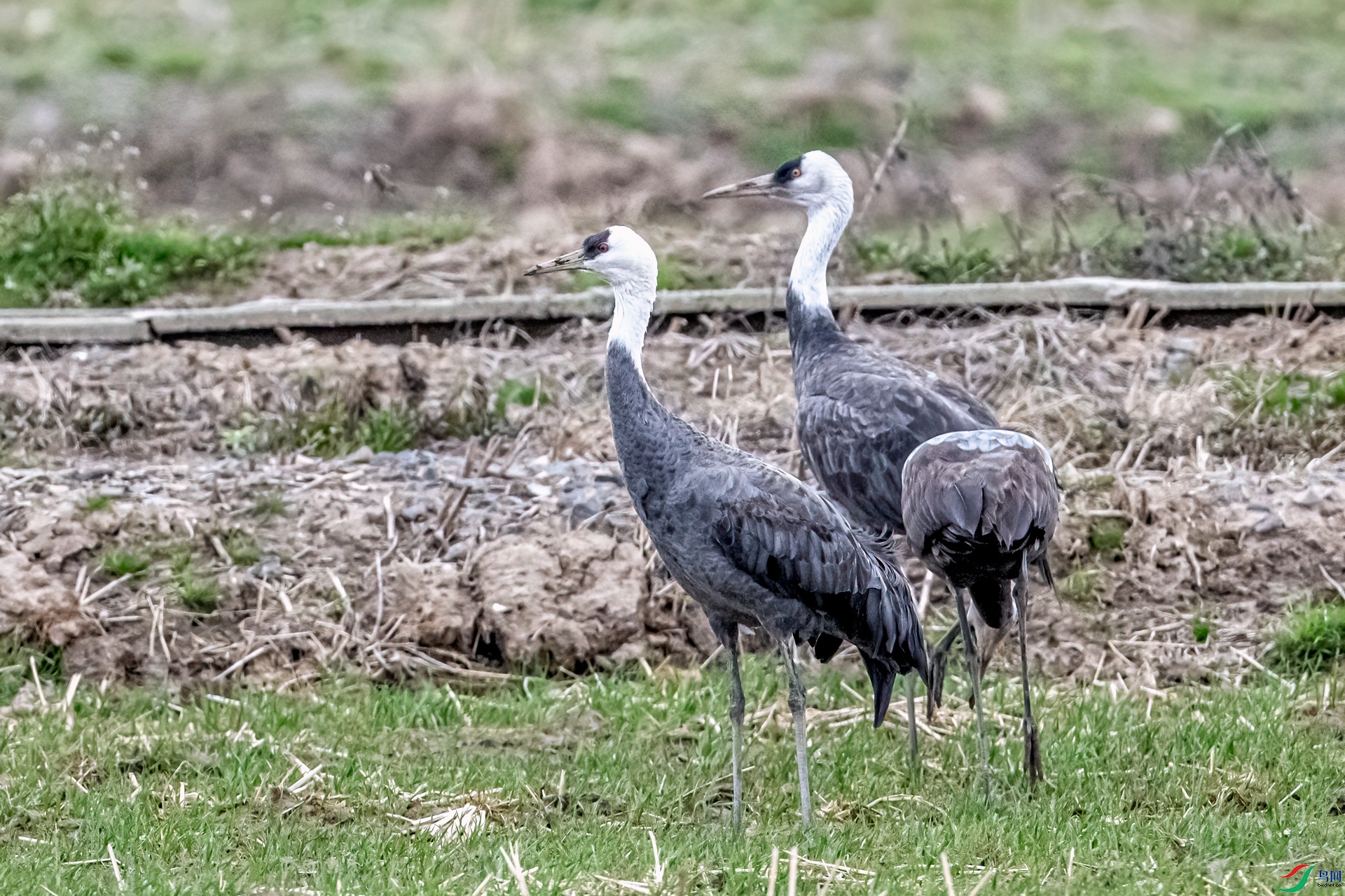 DSC_5070-21.jpg