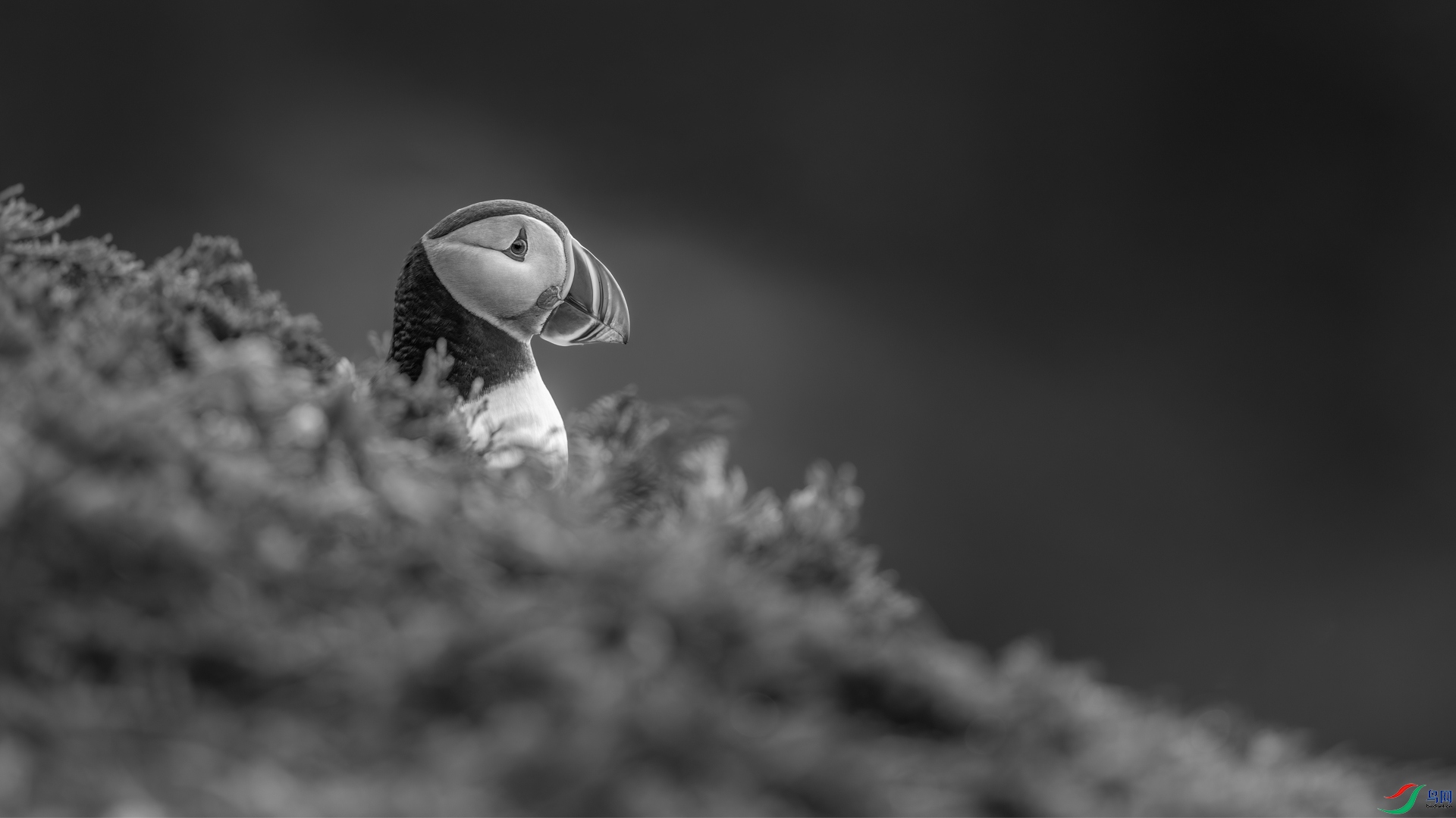9I6A9283_4.jpg