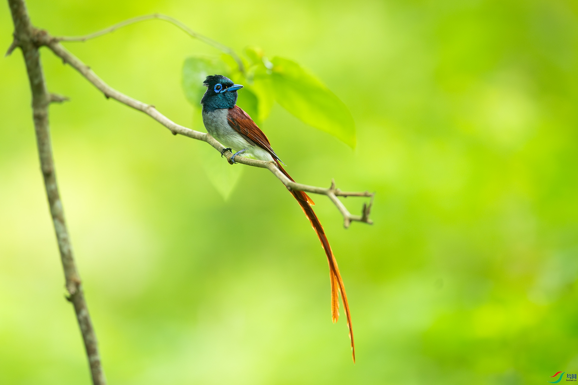 DSC_5800.jpg