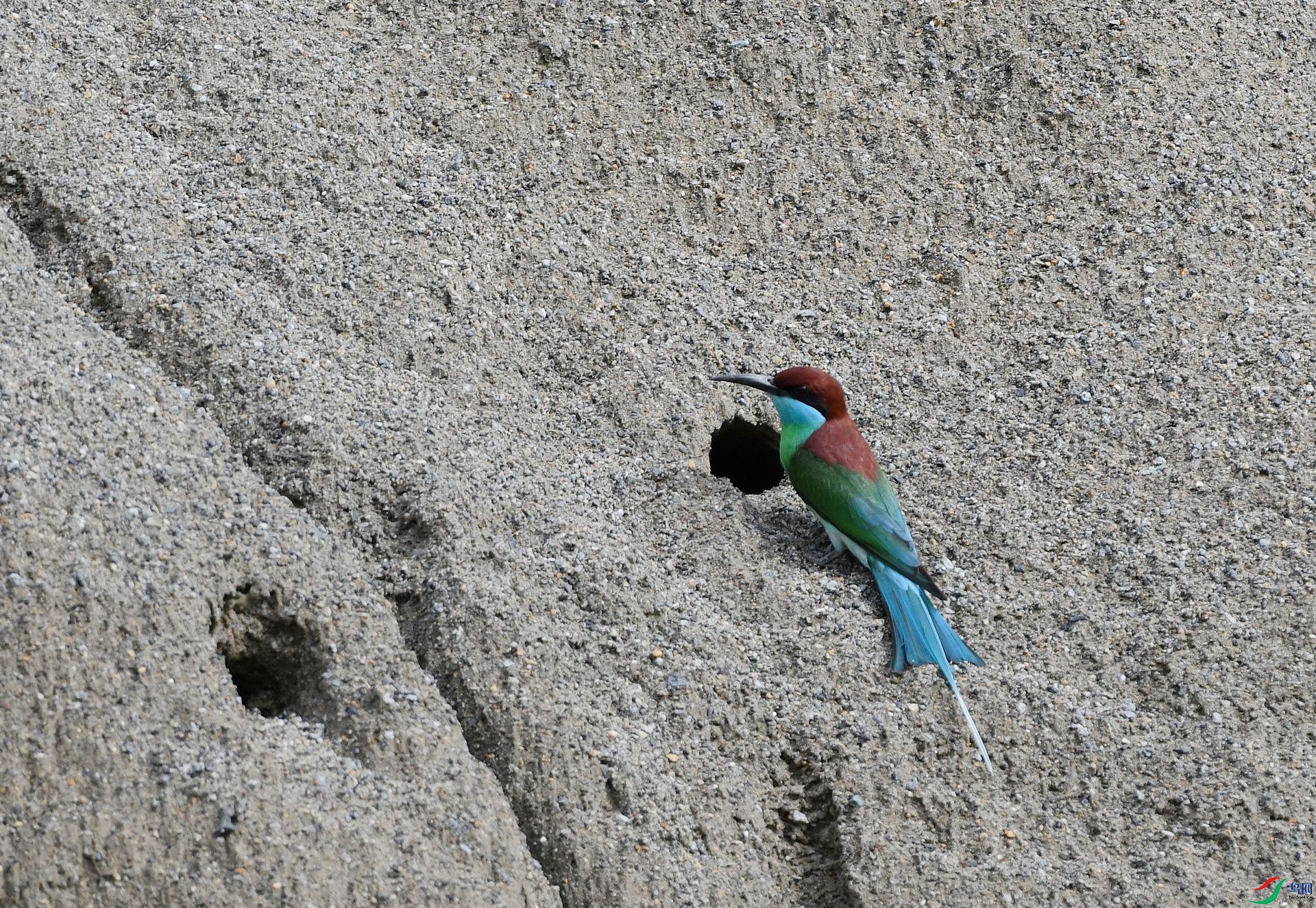 DSC_1847.jpg