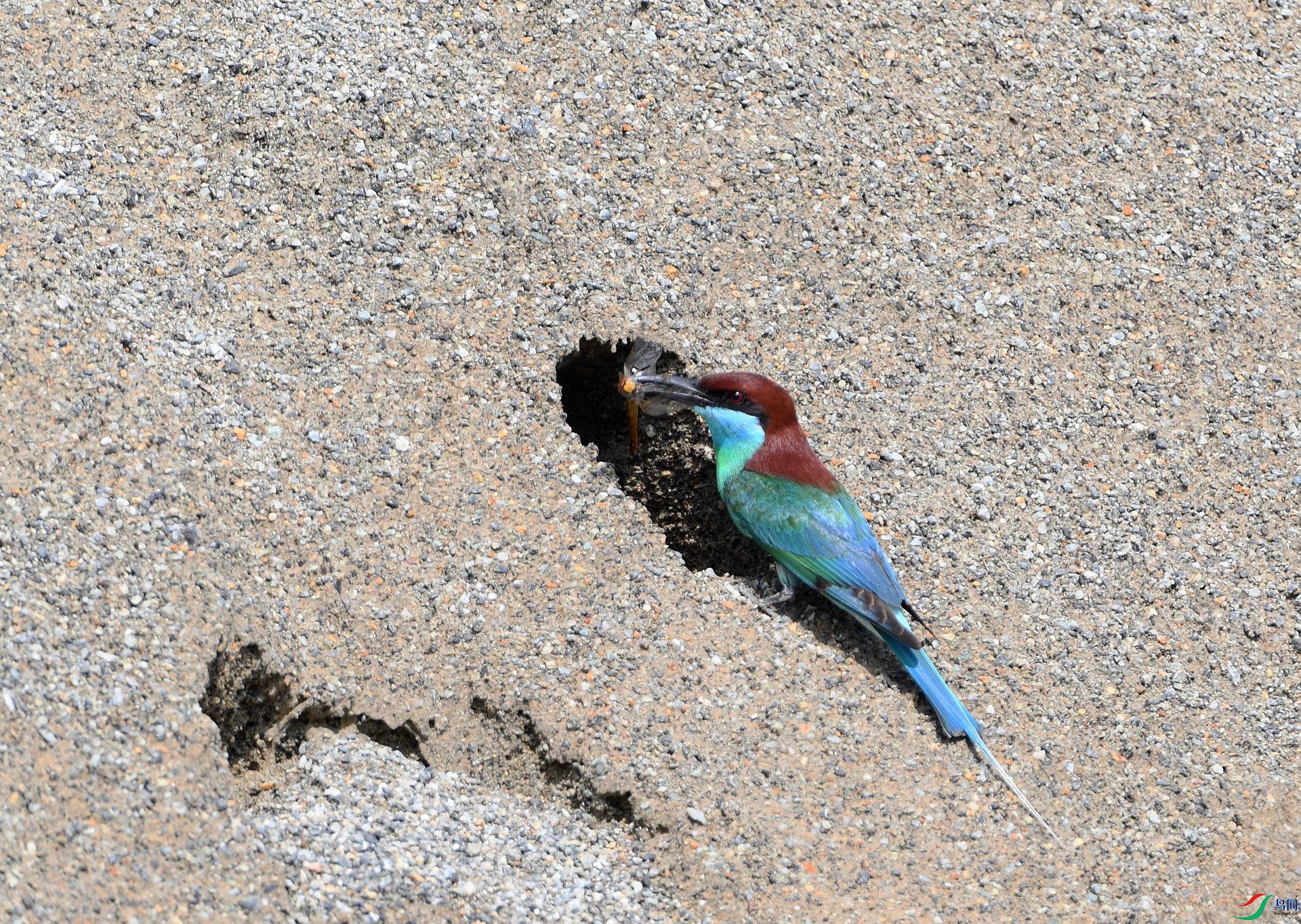 DSC_2108.jpg