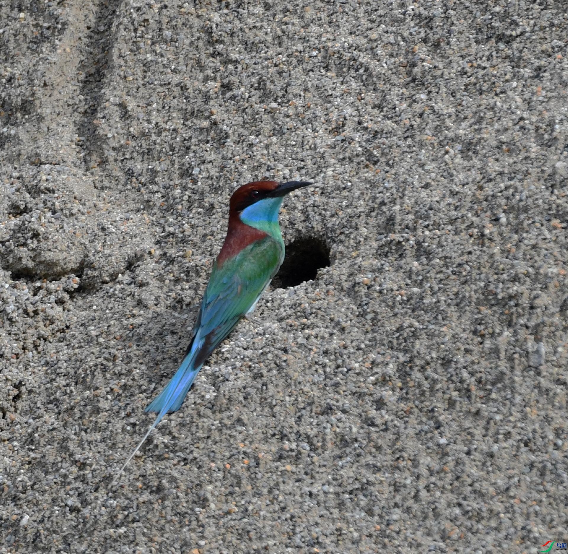 DSC_1838.jpg