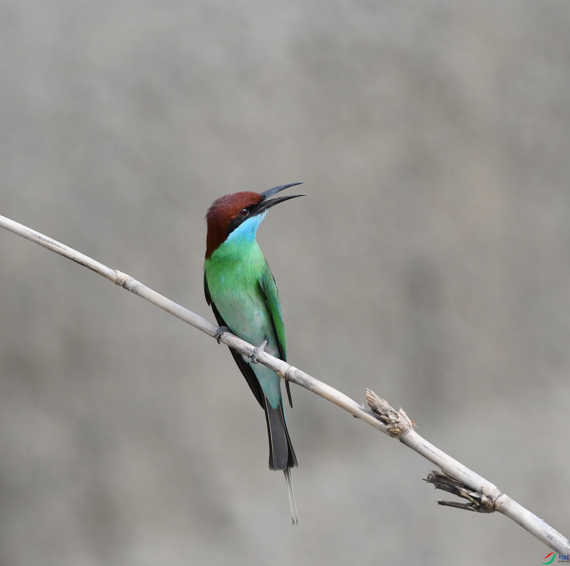 DSC_1841.jpg