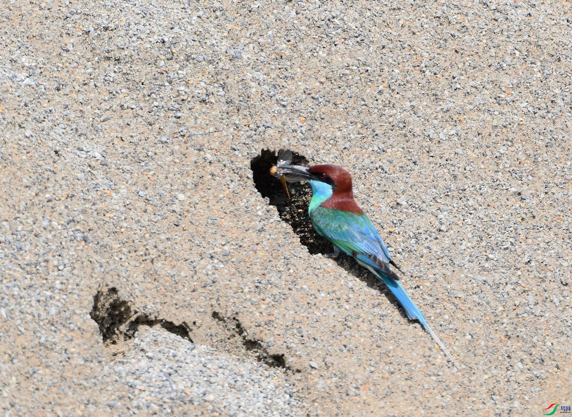 DSC_2120.jpg