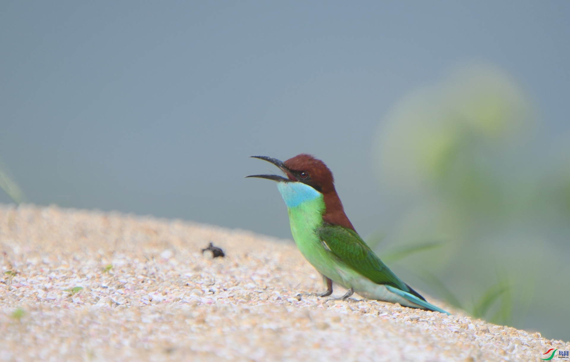 DSC_4907.jpg