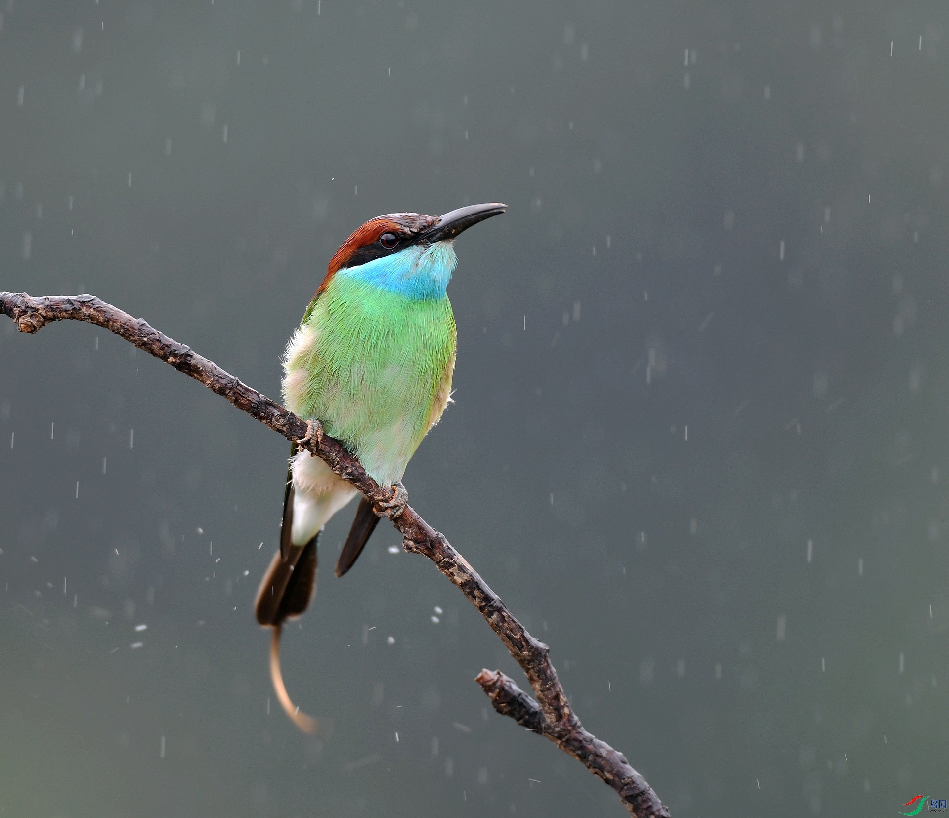 DSC_2426.jpg
