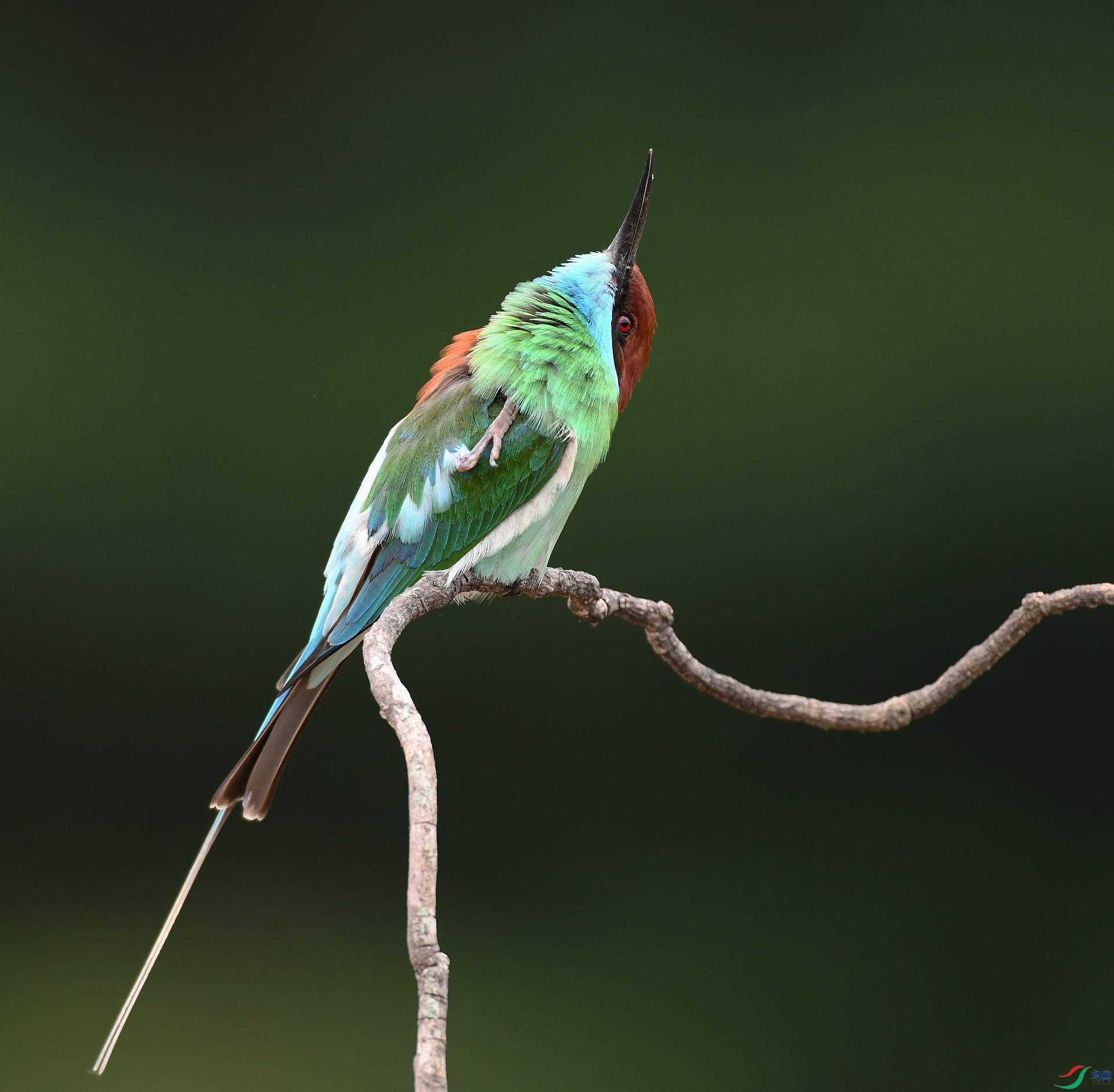 DSC_9164.jpg