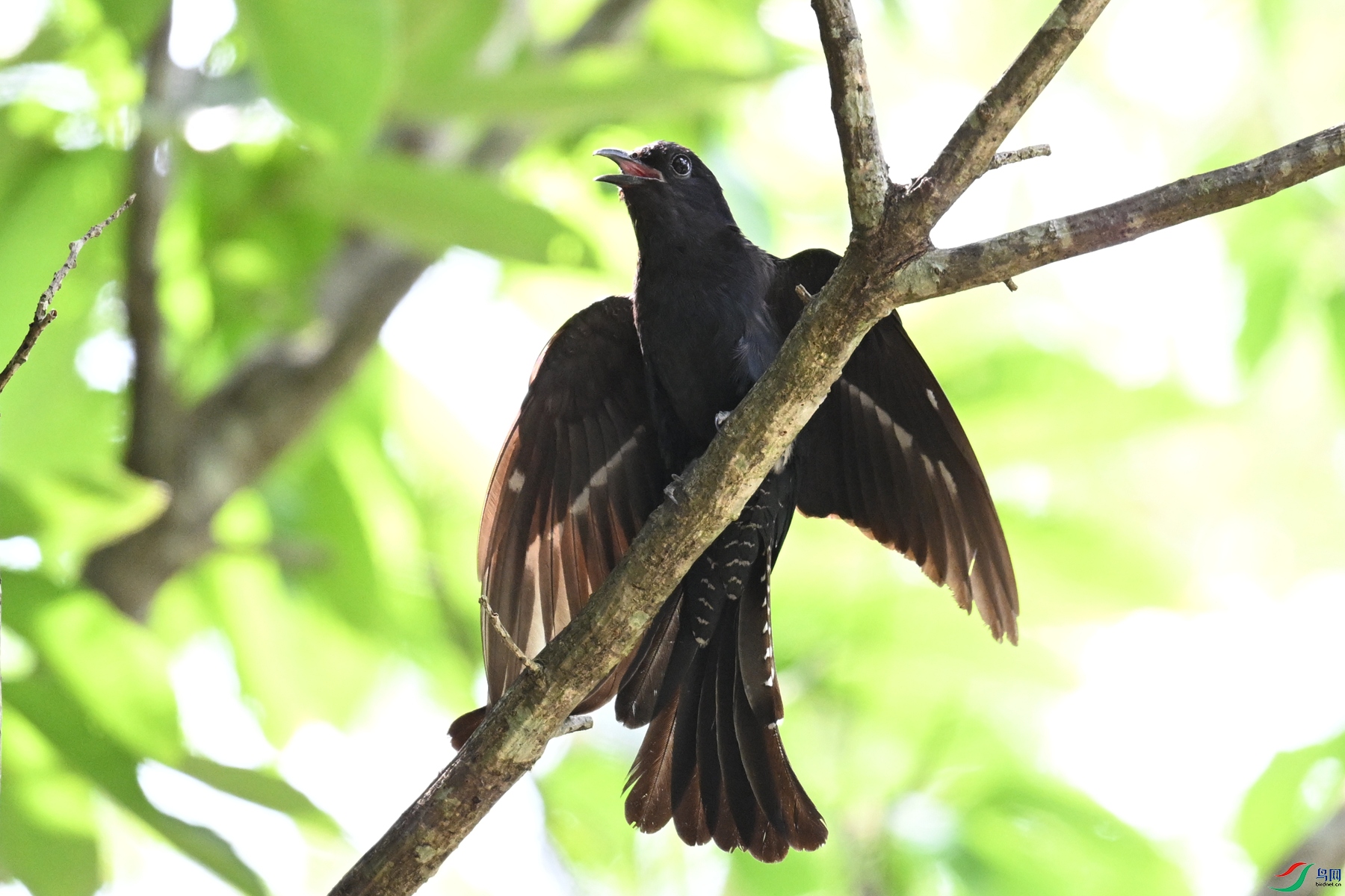 DSC_0838.JPG