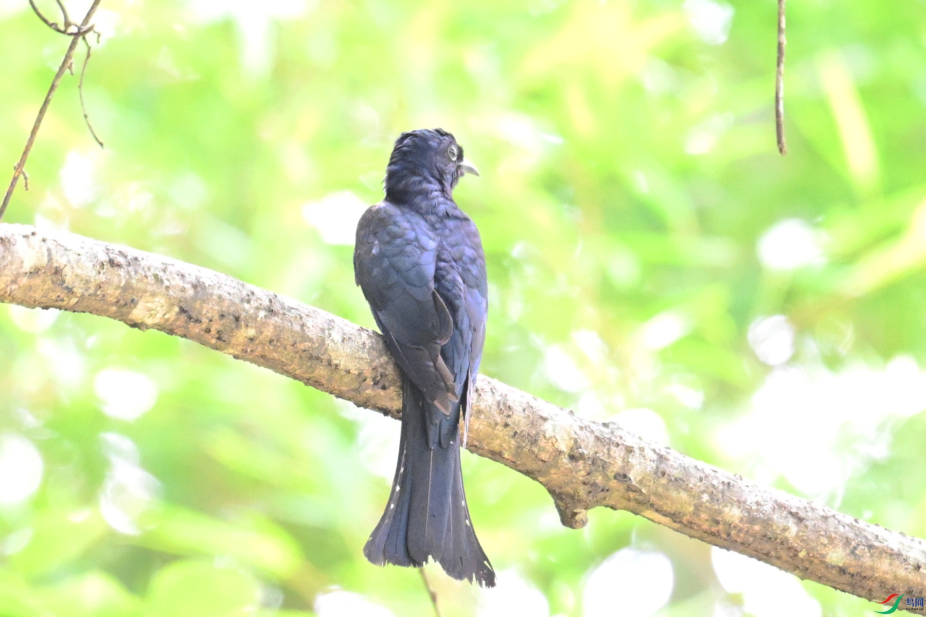 DSC_0914.JPG