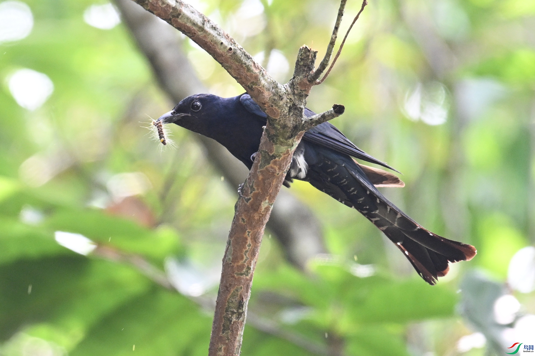 DSC_0897.JPG