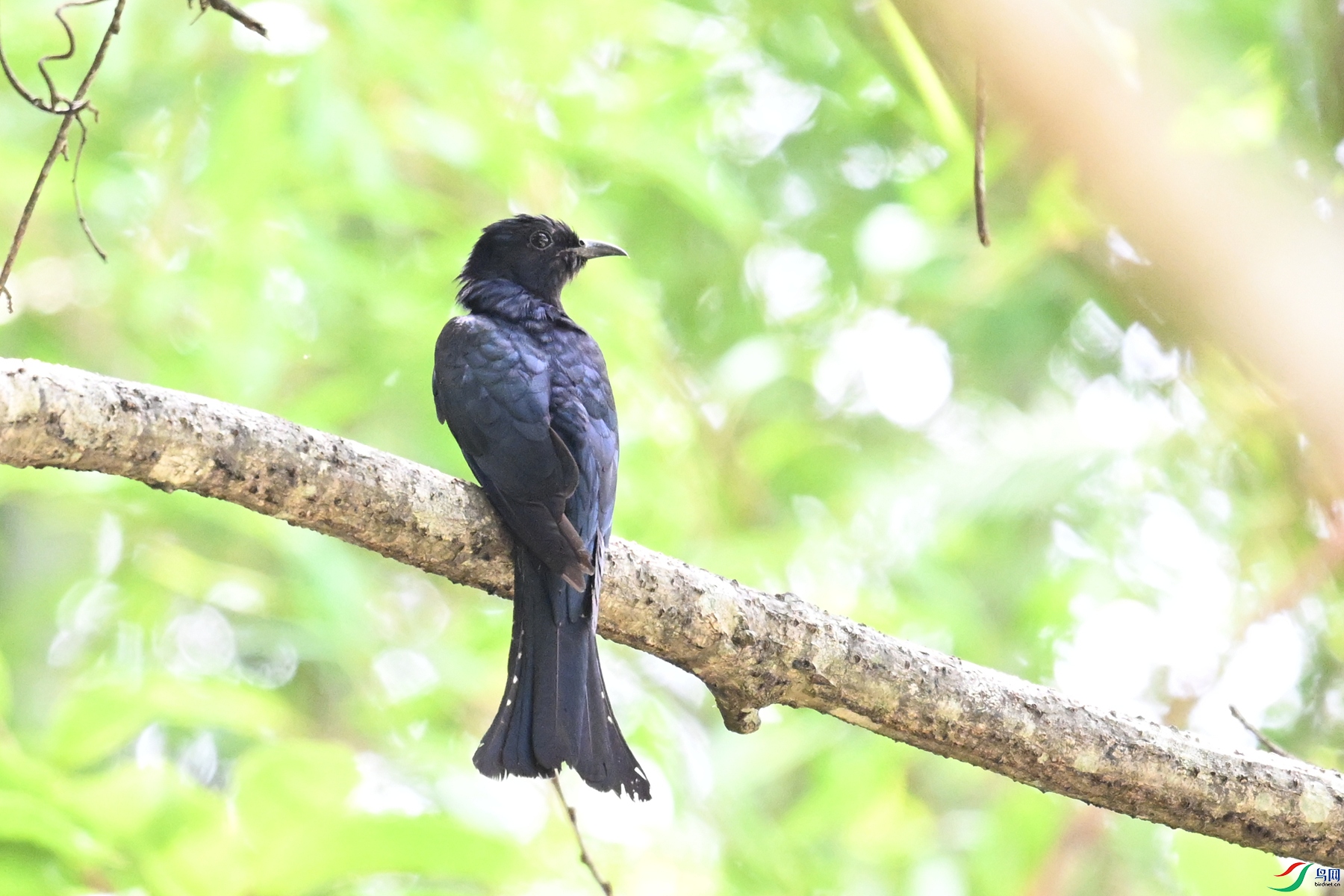 DSC_0902.JPG