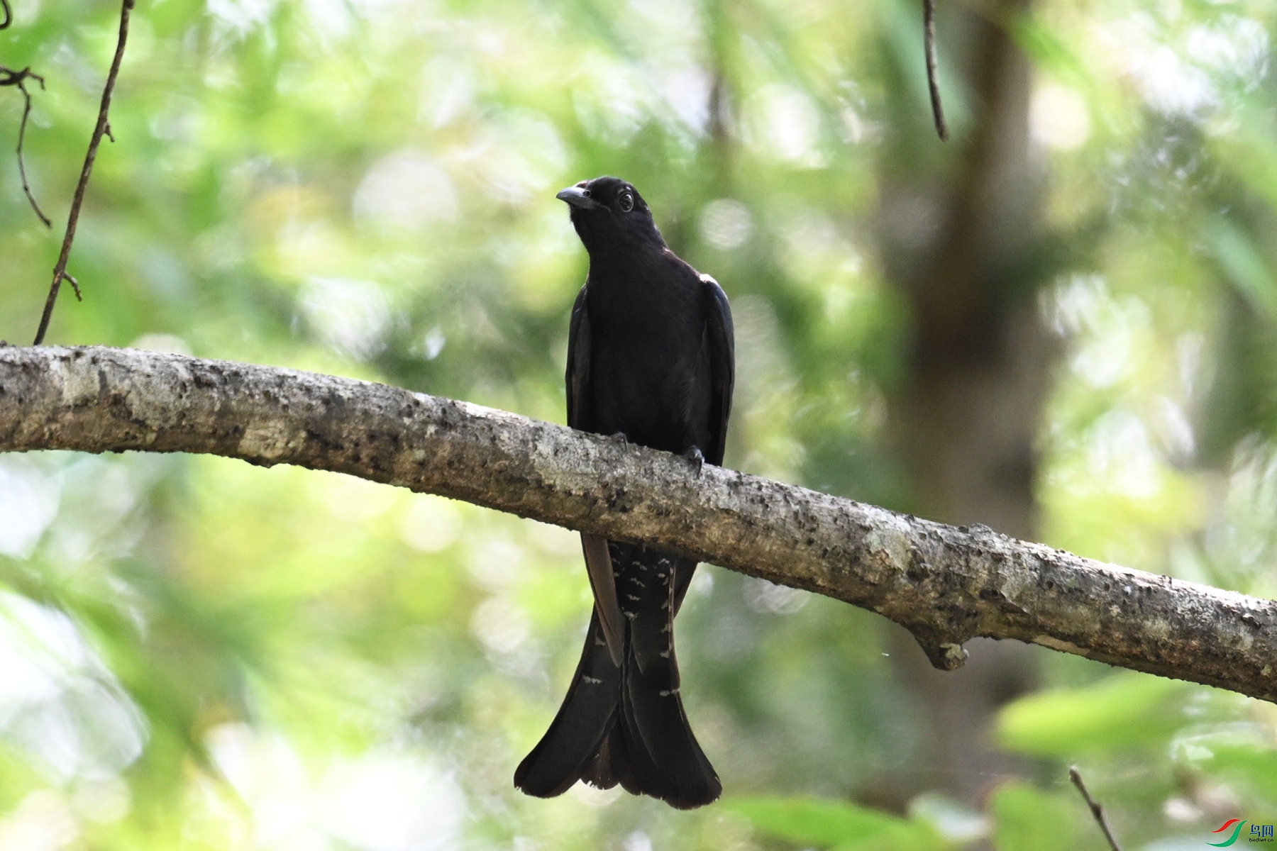 DSC_0845.JPG