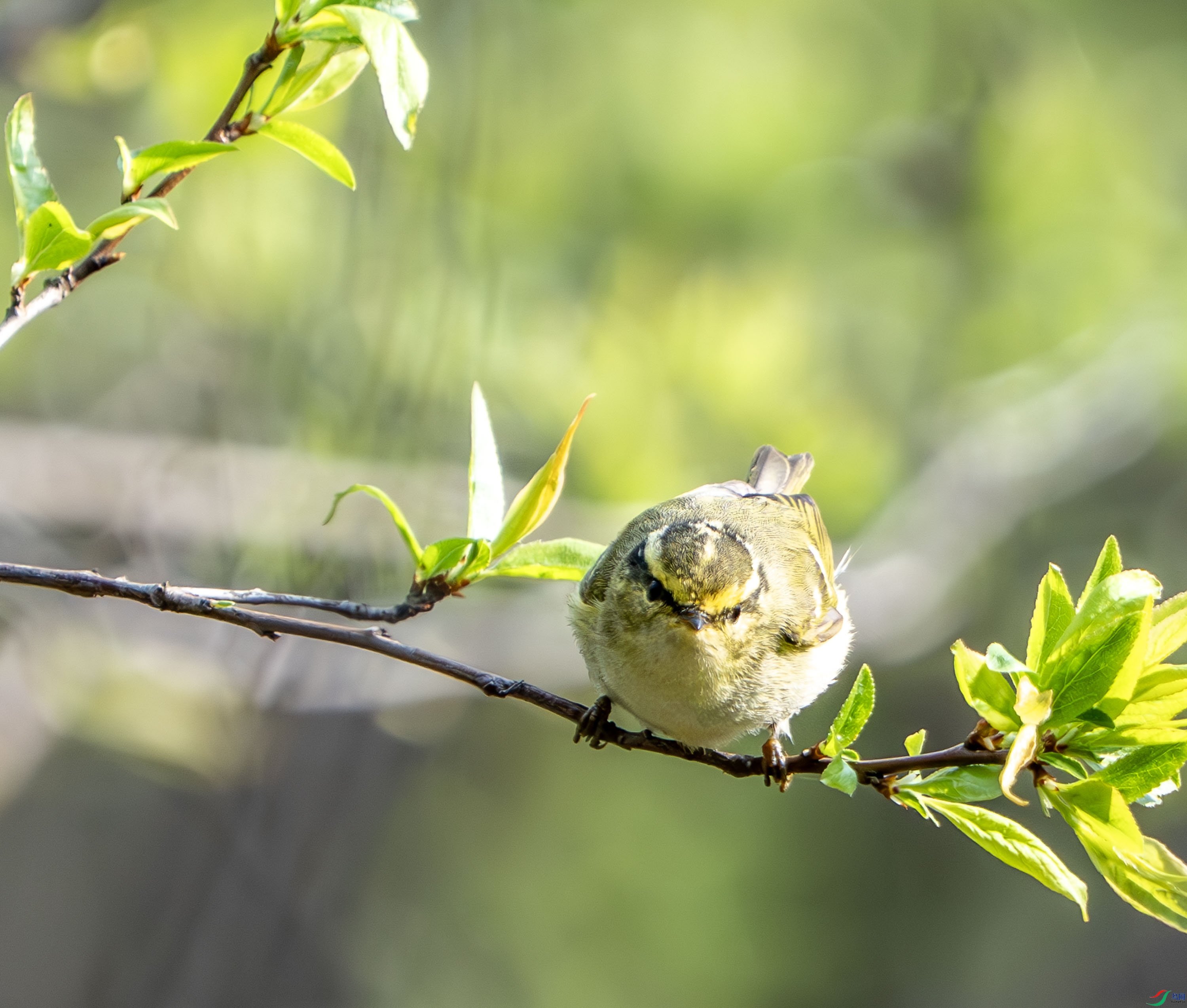 ������ݺ-19.jpg