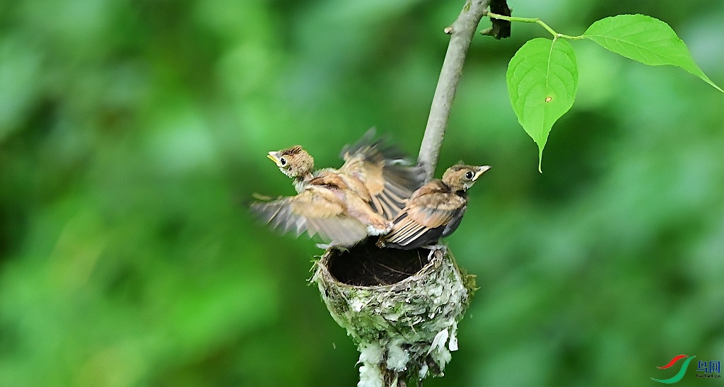 DSC_1686.JPG