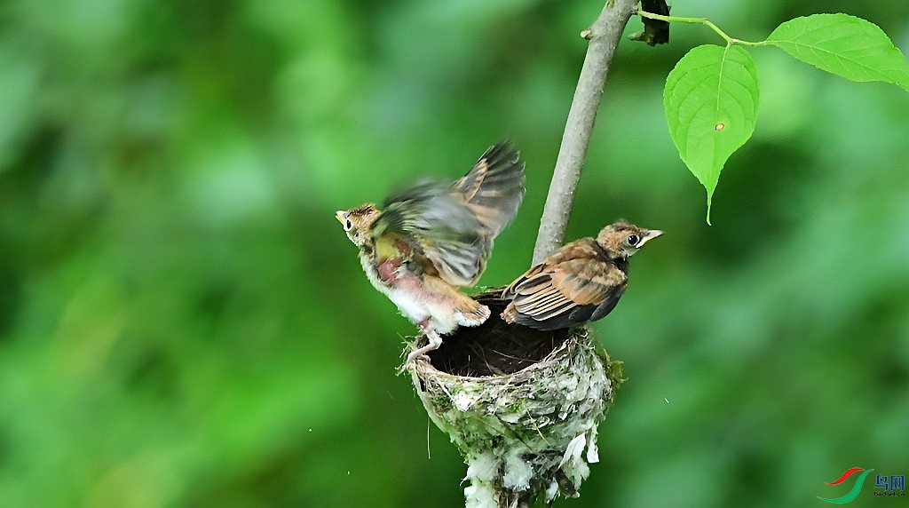 DSC_1688.JPG