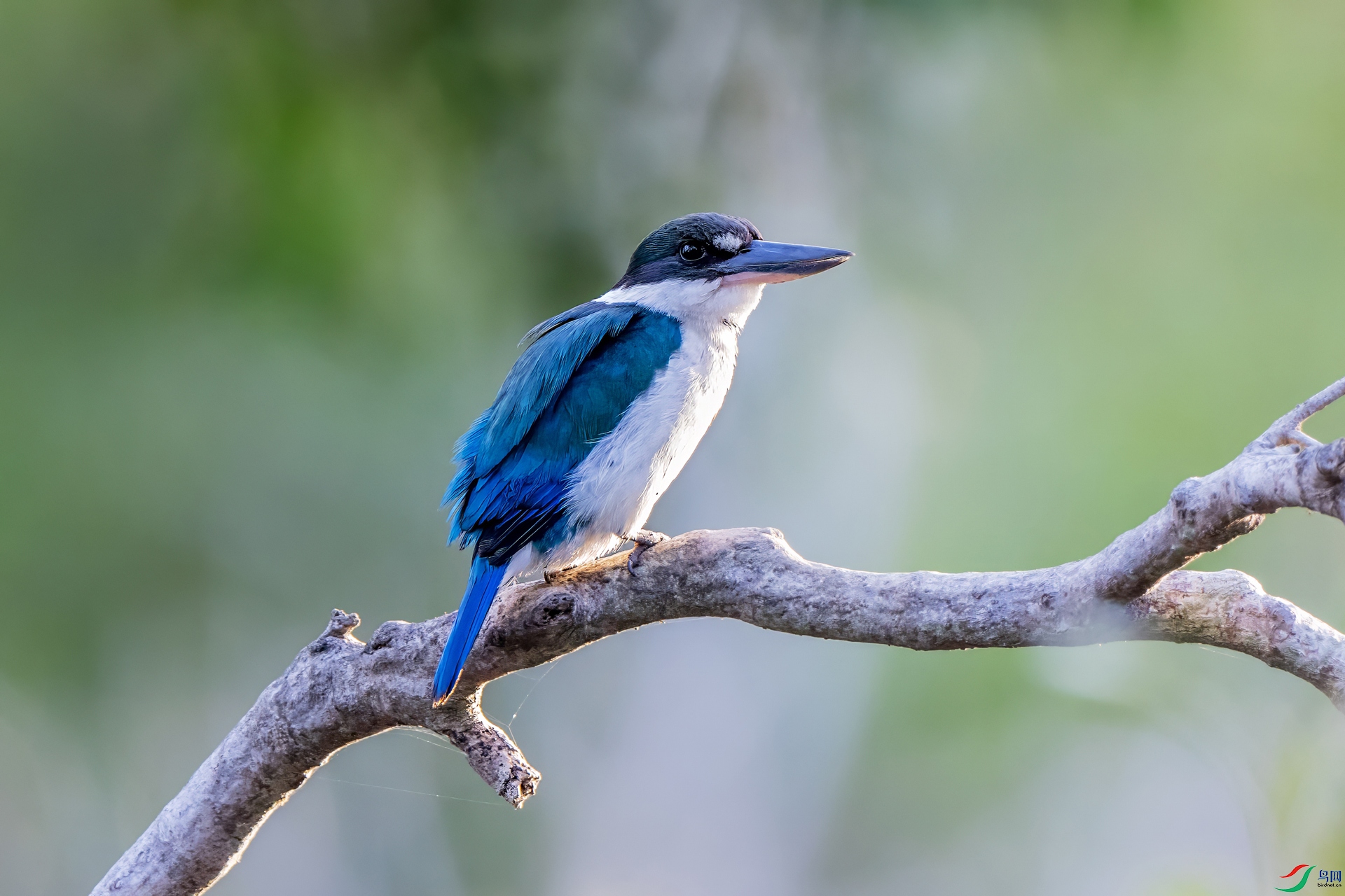 DSC_1674.jpg