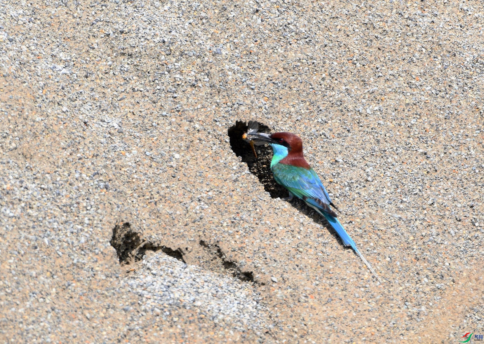 DSC_2120.jpg