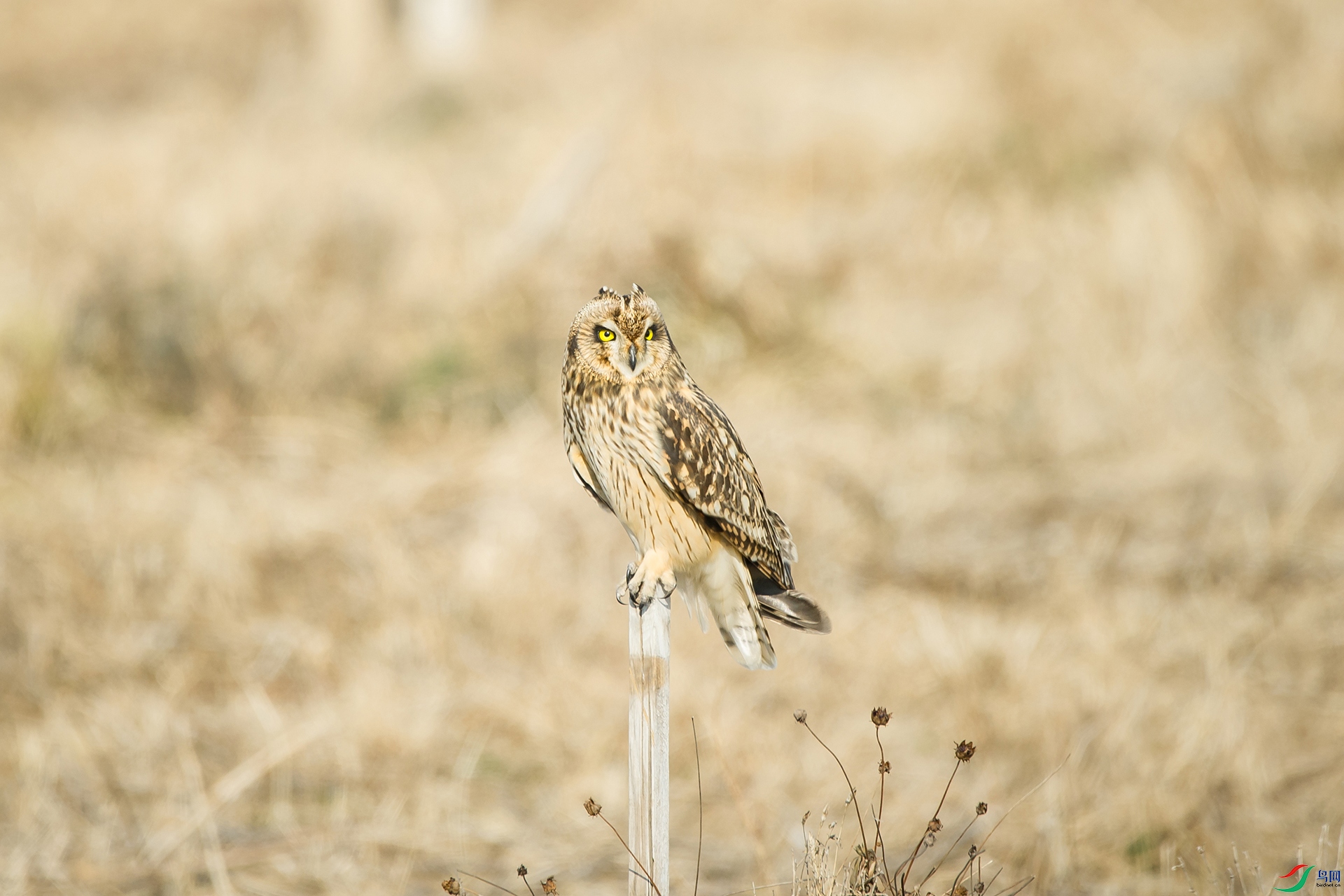 DSC_1233-20201221�ü�.jpg