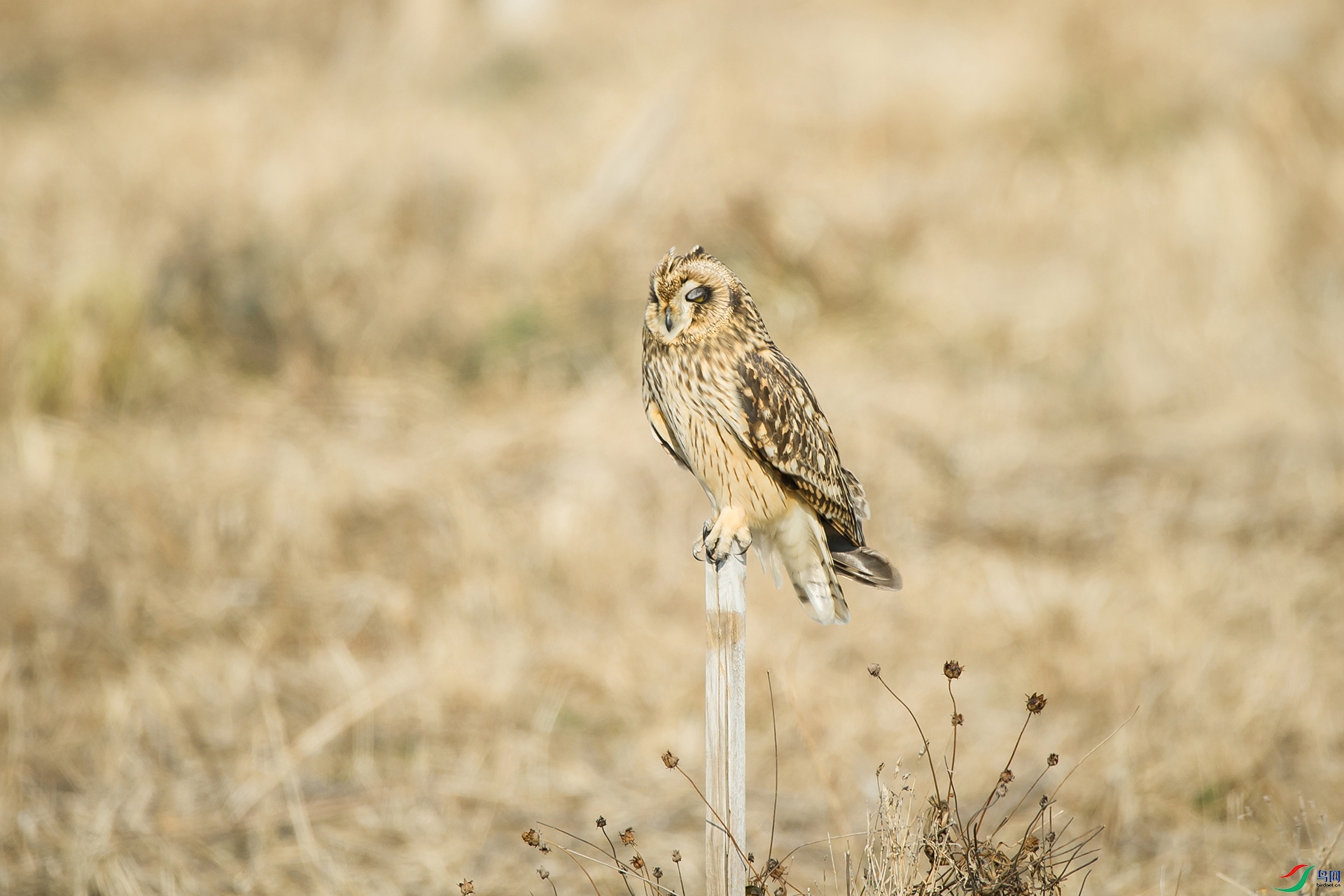 DSC_1235-20201221�ü�.jpg