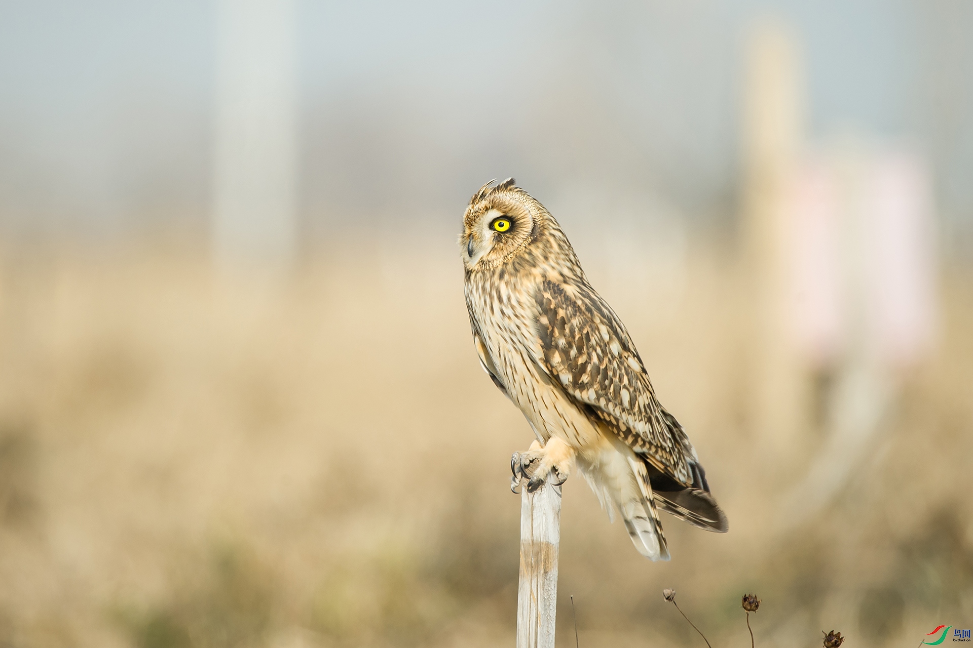 DSC_1241-20201221�ü�.jpg