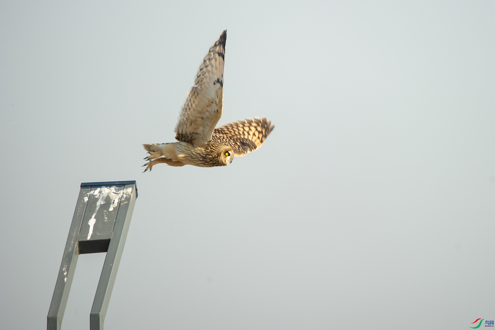 DSC_1285-20201221�ü�.jpg