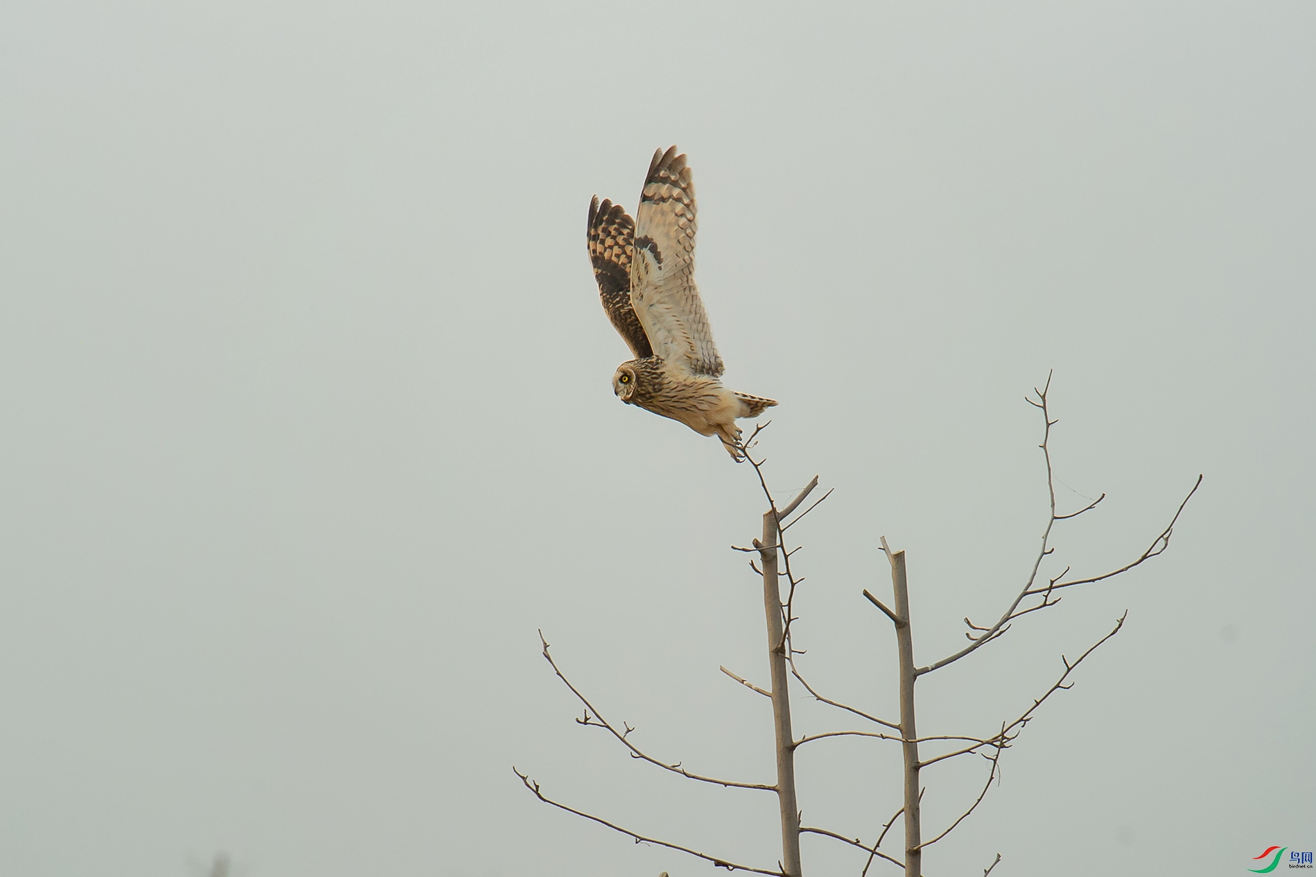 DSC_1313-20201221�ü�.jpg