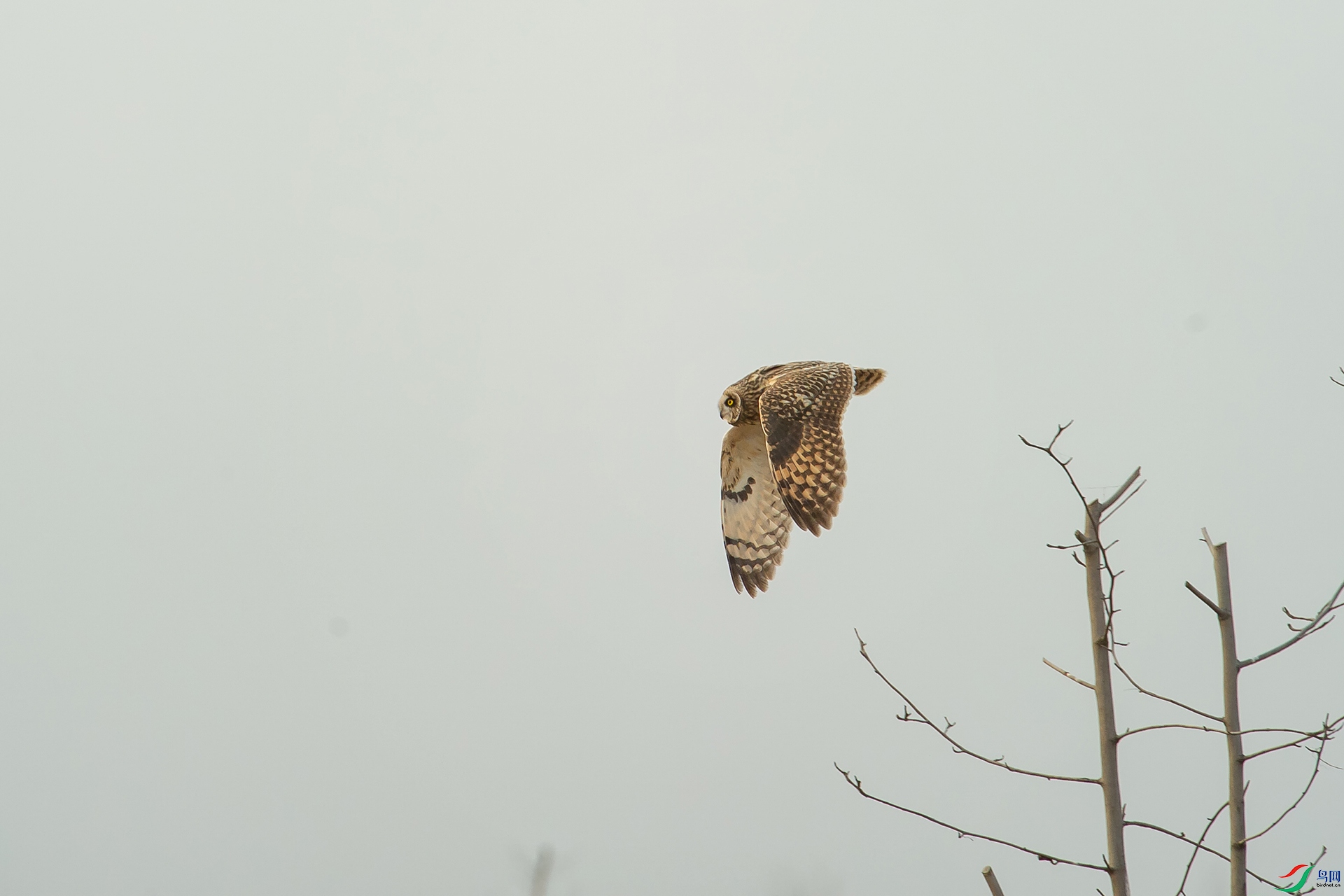 DSC_1314-20201221�ü�.jpg