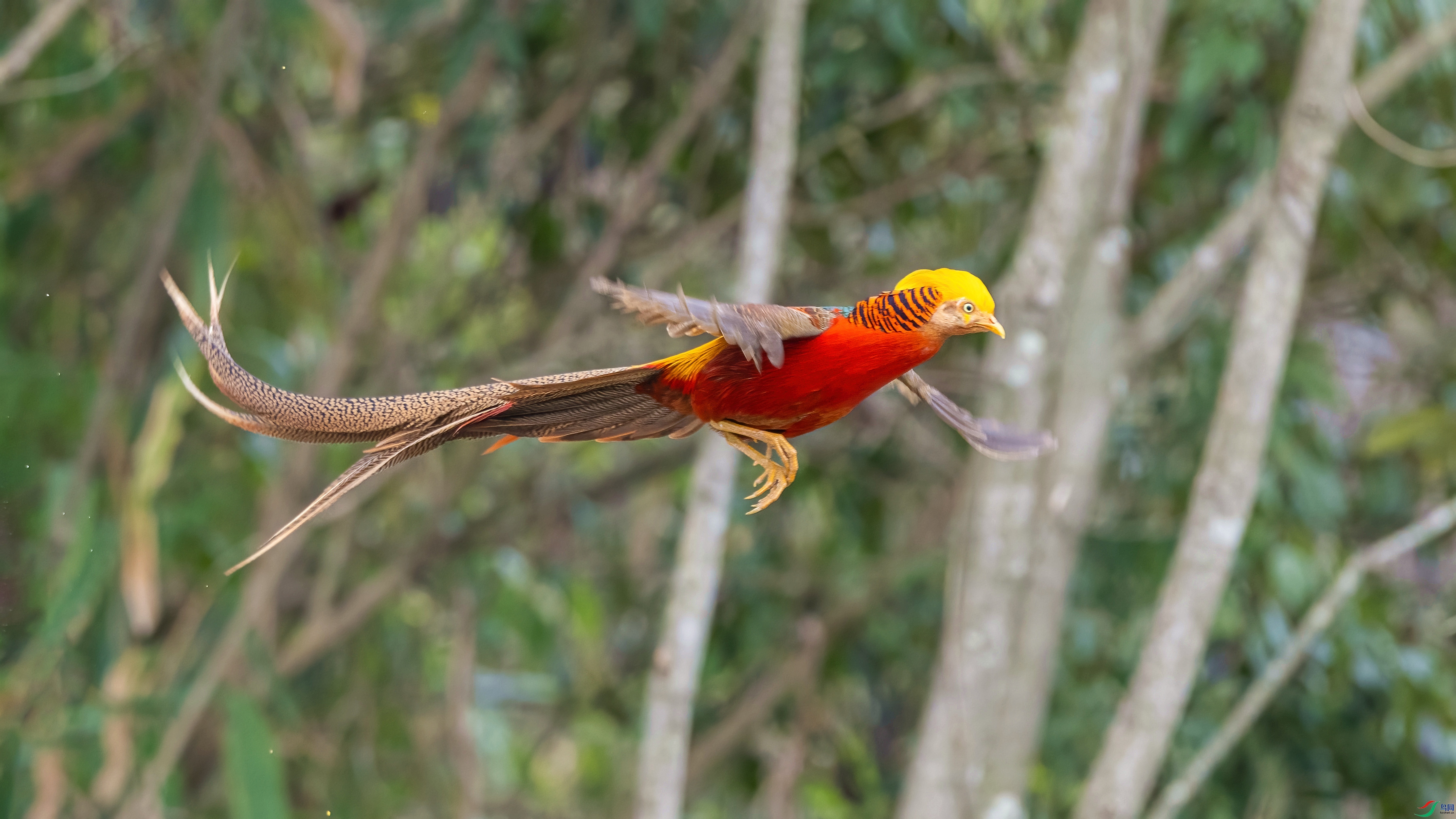 DSC_7343.jpg